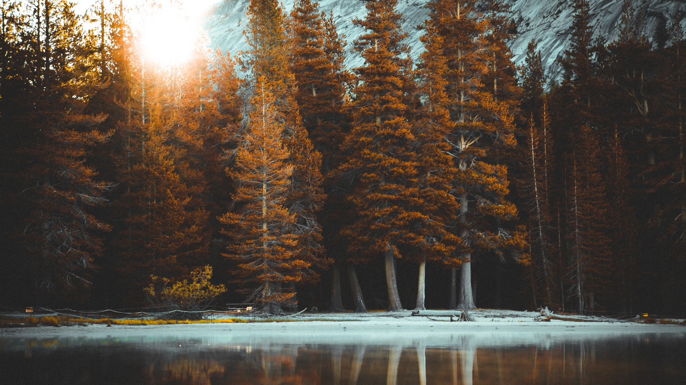 Naturaleza, Paisaje Natural, Luz, Naruto, Sica. Wallpaper in 1366x768 Resolution