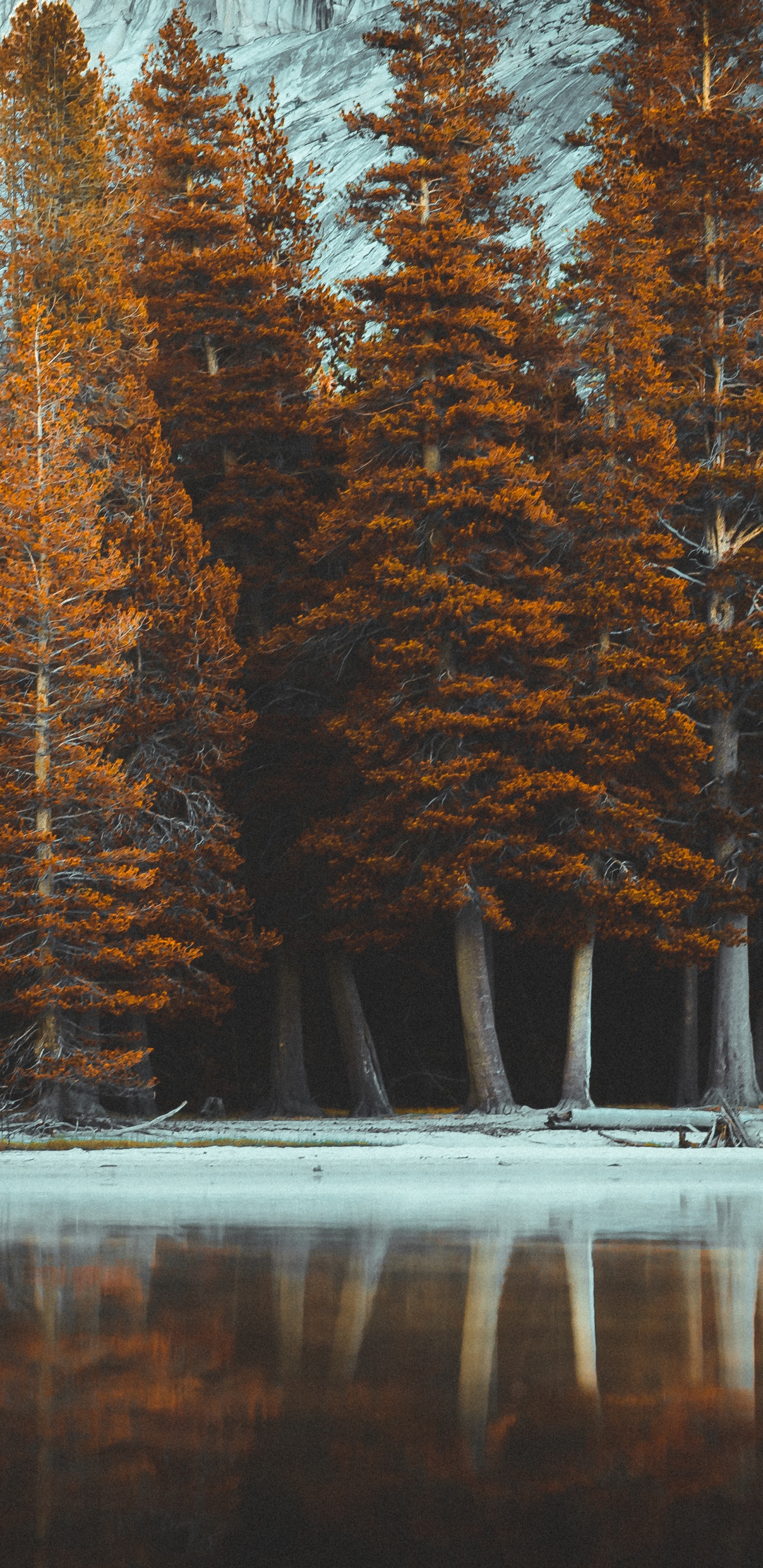 Naturaleza, Paisaje Natural, Luz, Naruto, Sica. Wallpaper in 1440x2960 Resolution