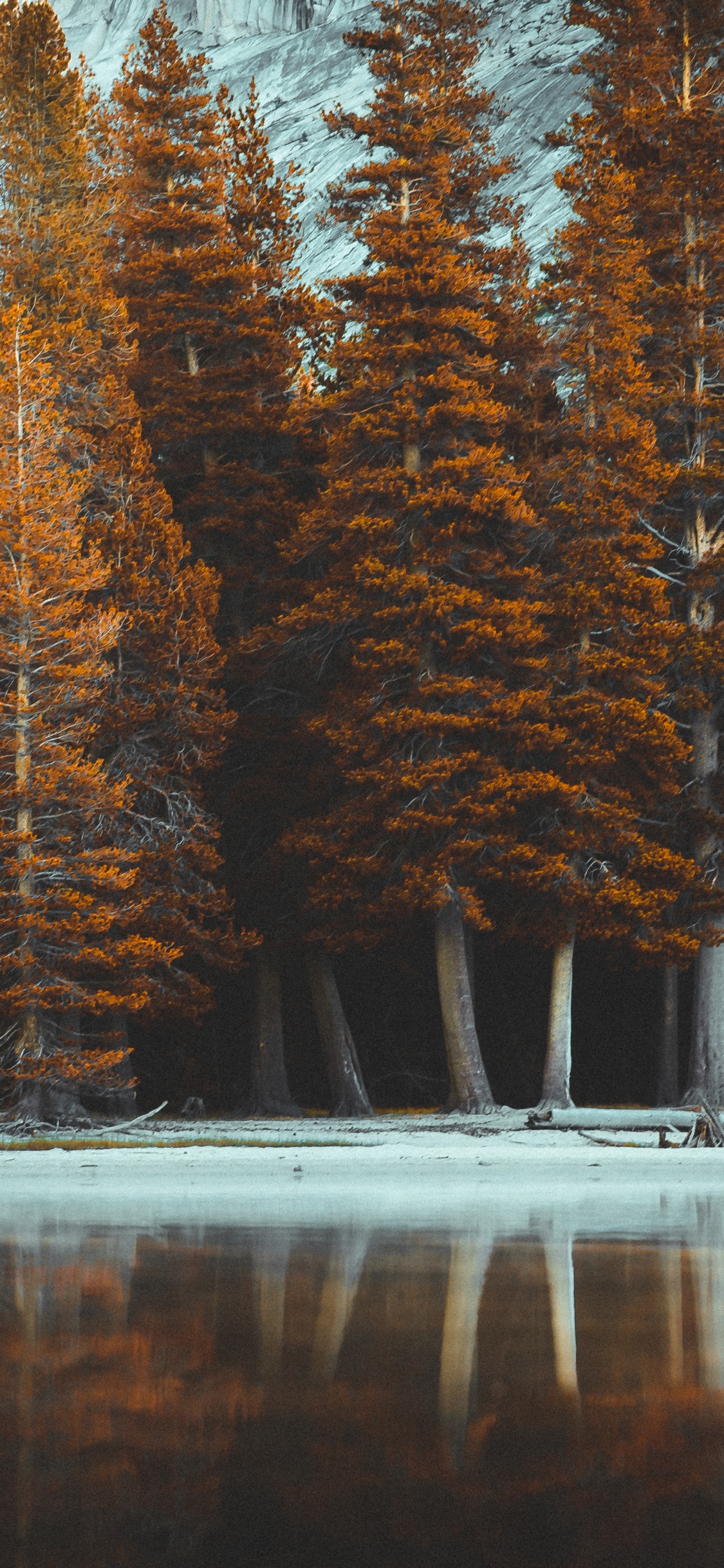 Nature, Paysage Naturel, Lumière, Naruto, Naruto Shippuden. Wallpaper in 1125x2436 Resolution