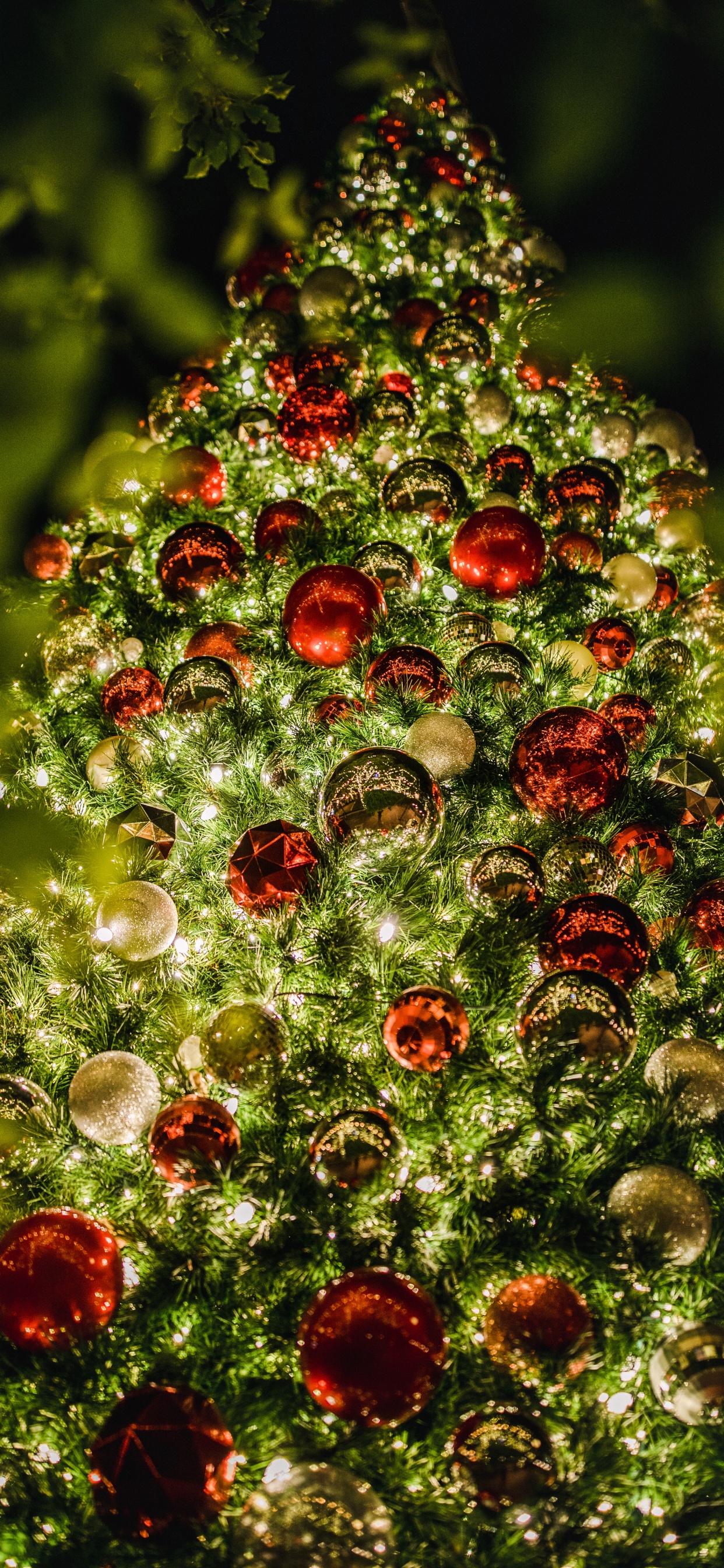 Red and Green Round Ornament. Wallpaper in 1242x2688 Resolution