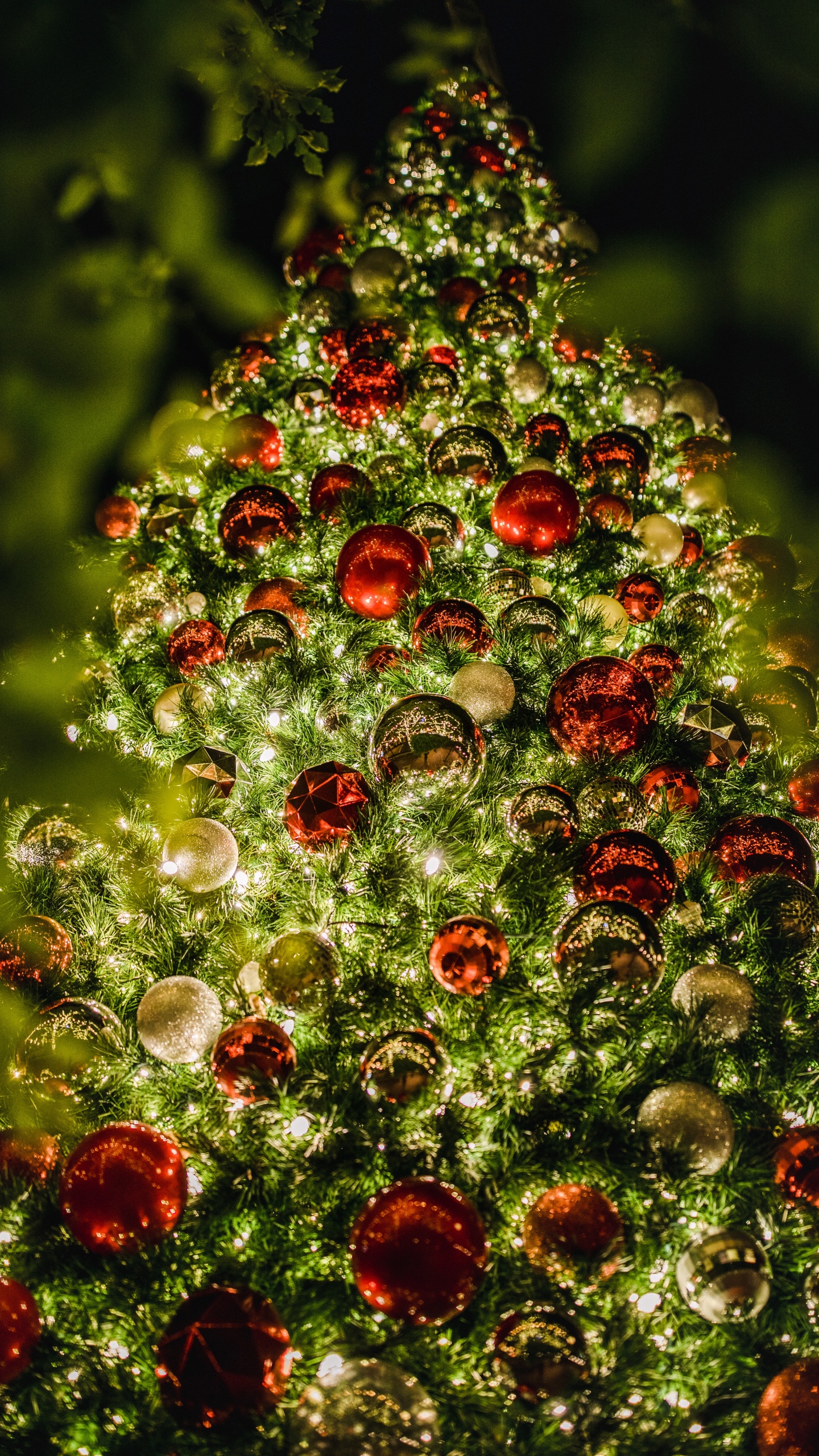 Red and Green Round Ornament. Wallpaper in 1440x2560 Resolution