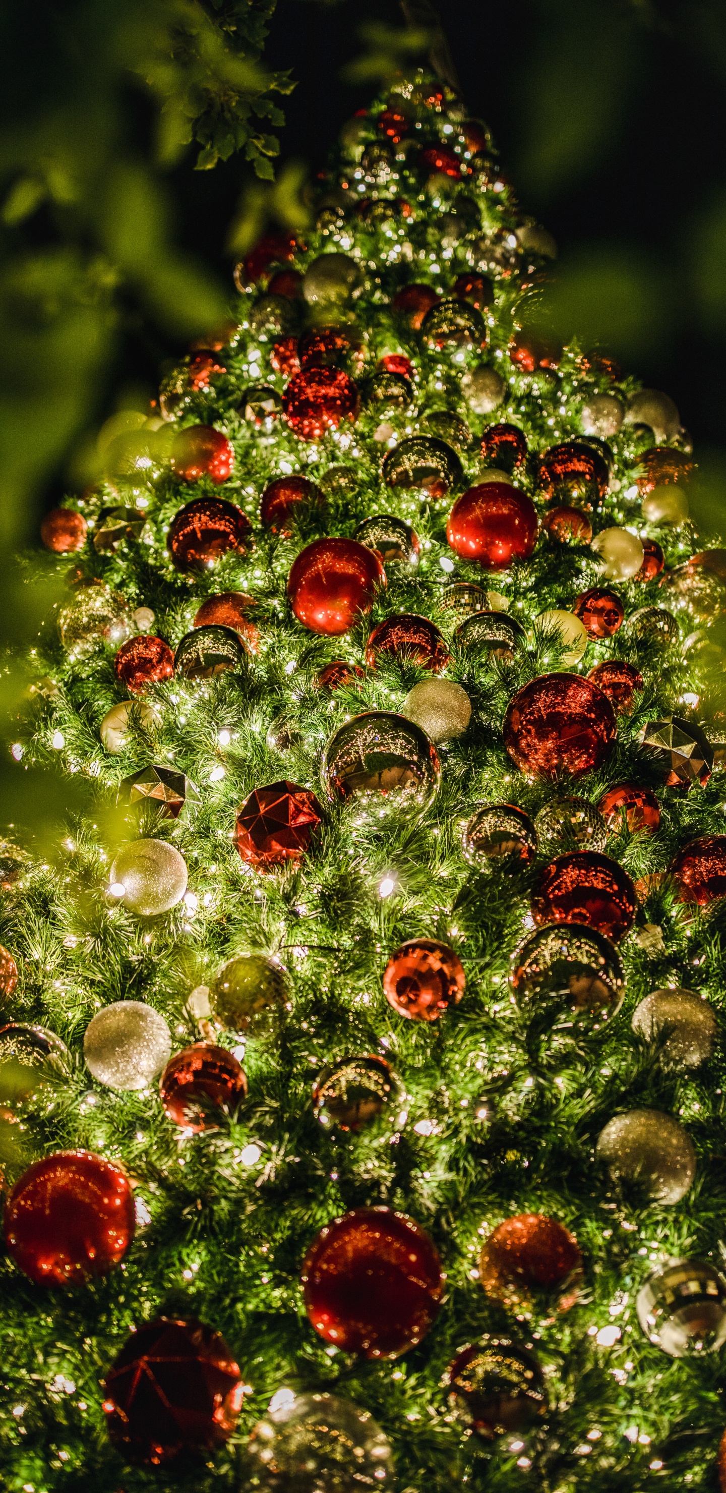 Red and Green Round Ornament. Wallpaper in 1440x2960 Resolution