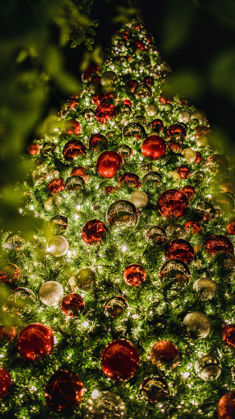 Red and Green Round Ornament. Wallpaper in 750x1334 Resolution