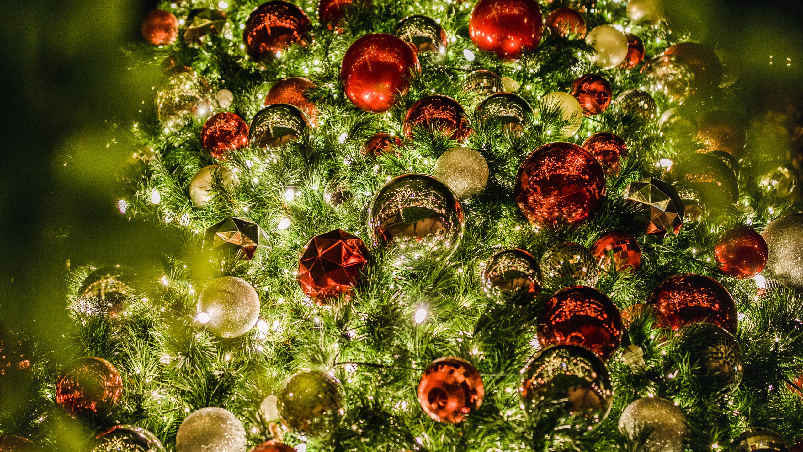 Ornement Rond Rouge et Vert. Wallpaper in 2560x1440 Resolution