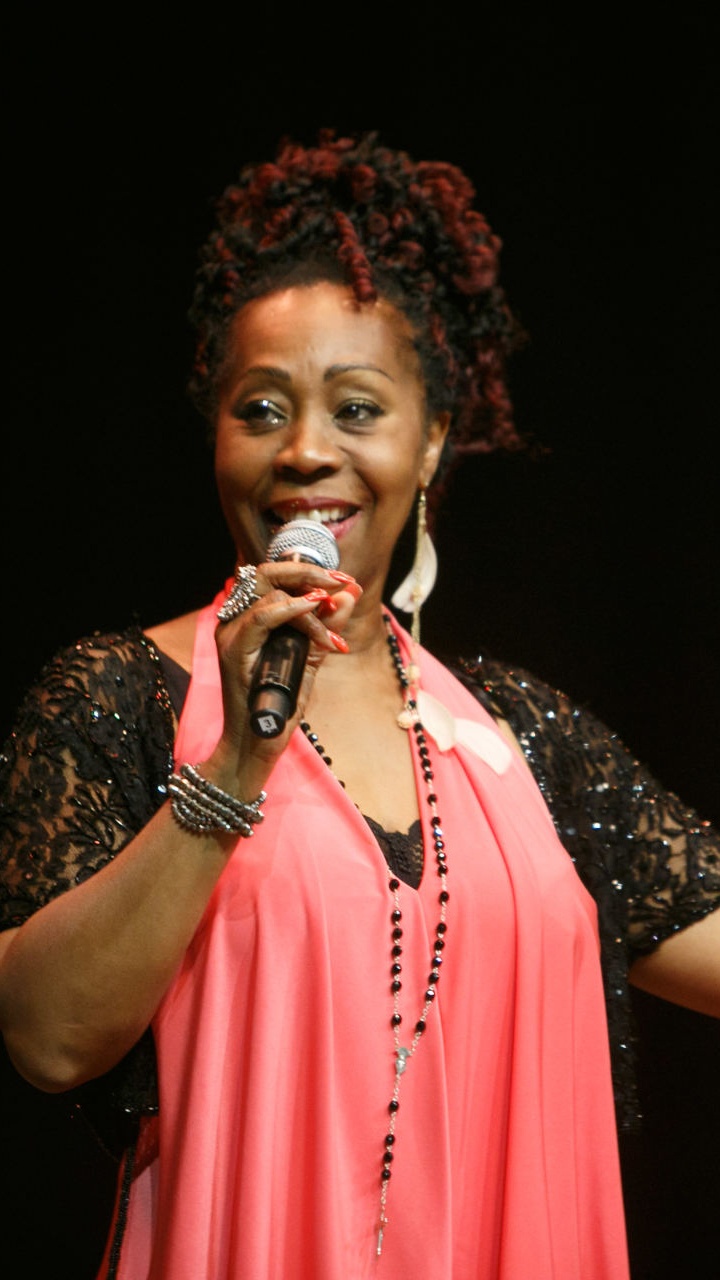 Cantante, Concierto, Músico, Instrumento de Cuerda, Rendimiento. Wallpaper in 720x1280 Resolution