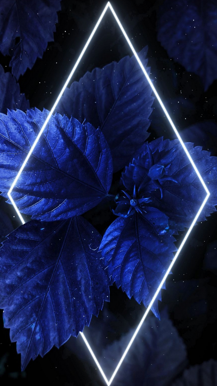 Lumière, Blue, Purple, de Teintes et de Nuances, Art. Wallpaper in 750x1334 Resolution