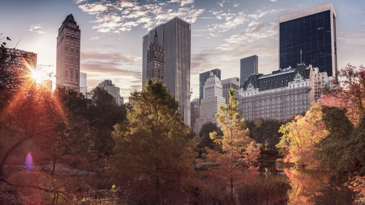 Green and Yellow Trees Near City Buildings Under Blue Sky During Daytime. Wallpaper in 1280x720 Resolution