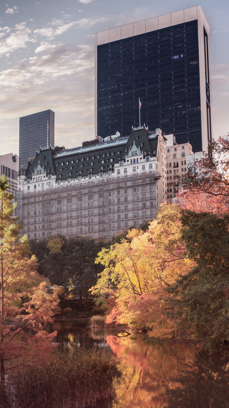 Grüne Und Gelbe Bäume in Der Nähe Von Stadtgebäuden Unter Blauem Himmel Tagsüber. Wallpaper in 750x1334 Resolution