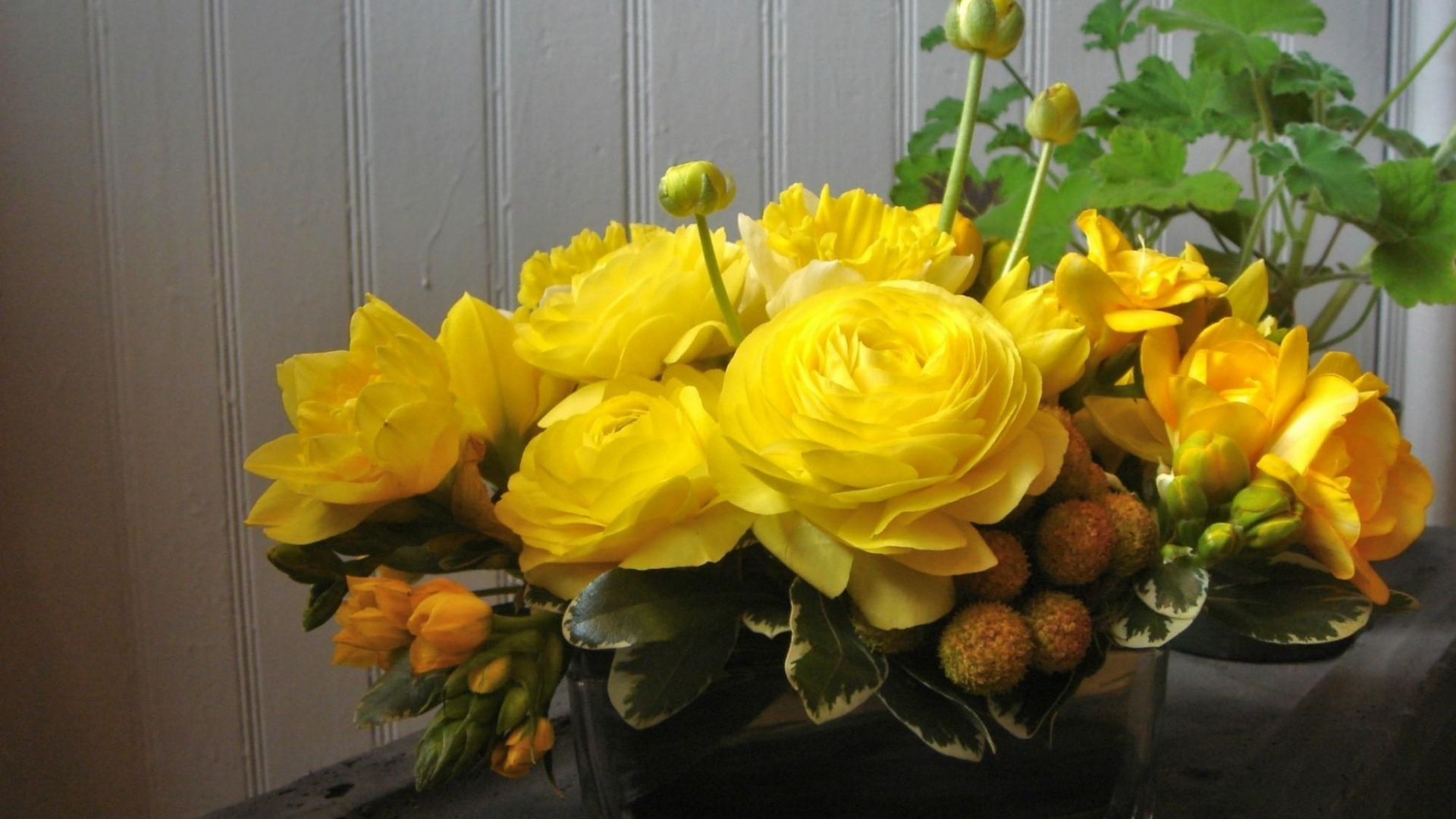 Yellow Flowers on Black Plastic Container. Wallpaper in 1920x1080 Resolution