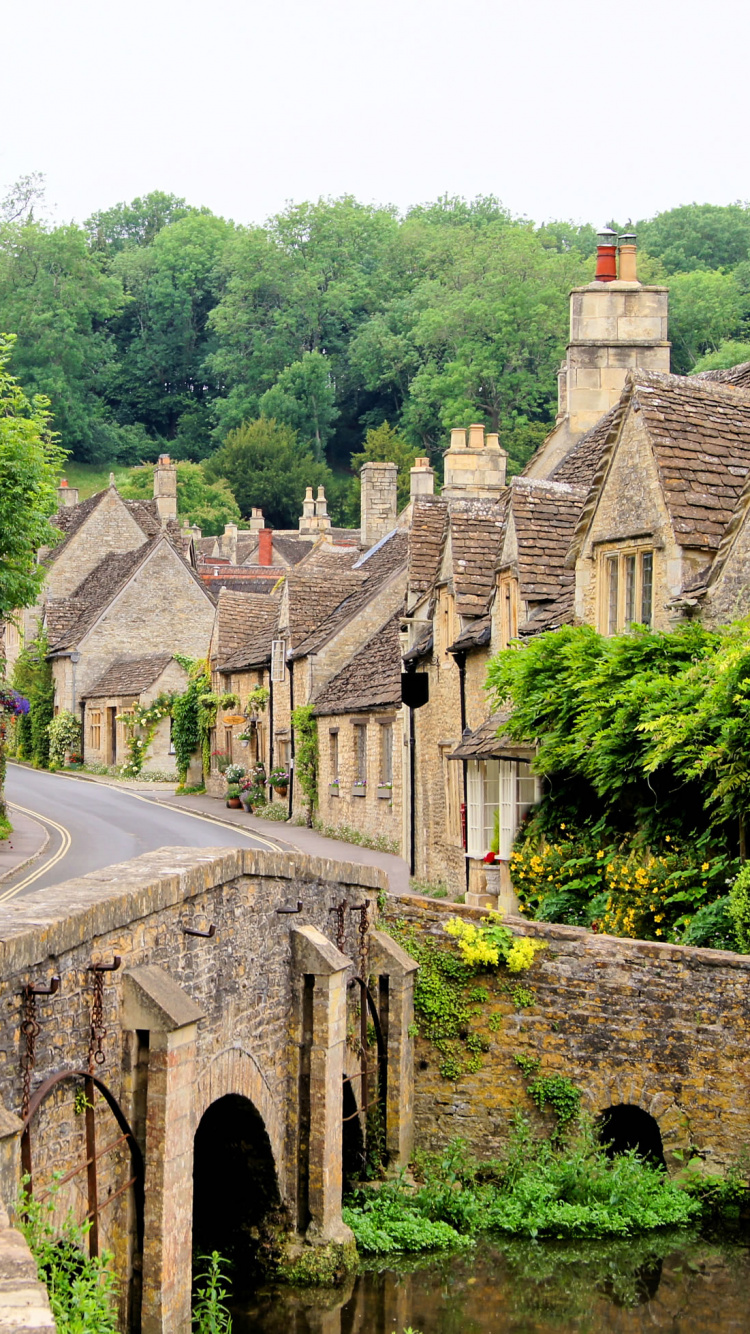 Camino de Hormigón Gris Entre Árboles Verdes Durante el Día. Wallpaper in 750x1334 Resolution