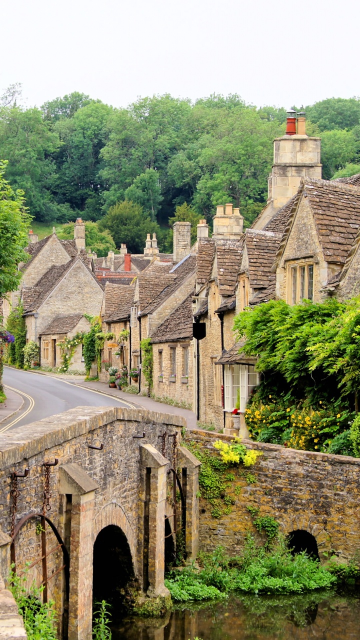Route en Béton Gris Entre Les Arbres Verts Pendant la Journée. Wallpaper in 720x1280 Resolution