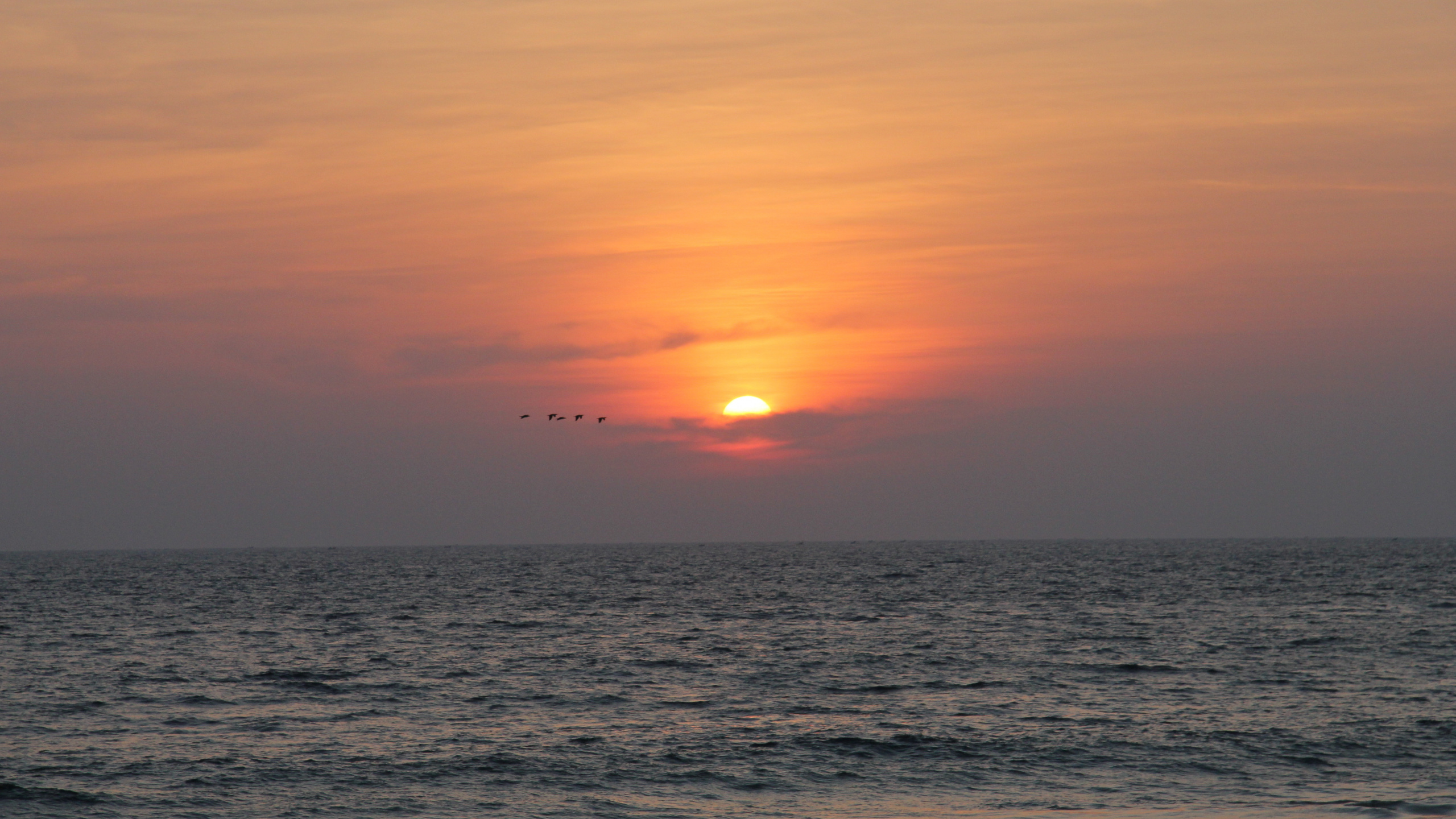 Plan D'eau au Coucher du Soleil. Wallpaper in 2560x1440 Resolution