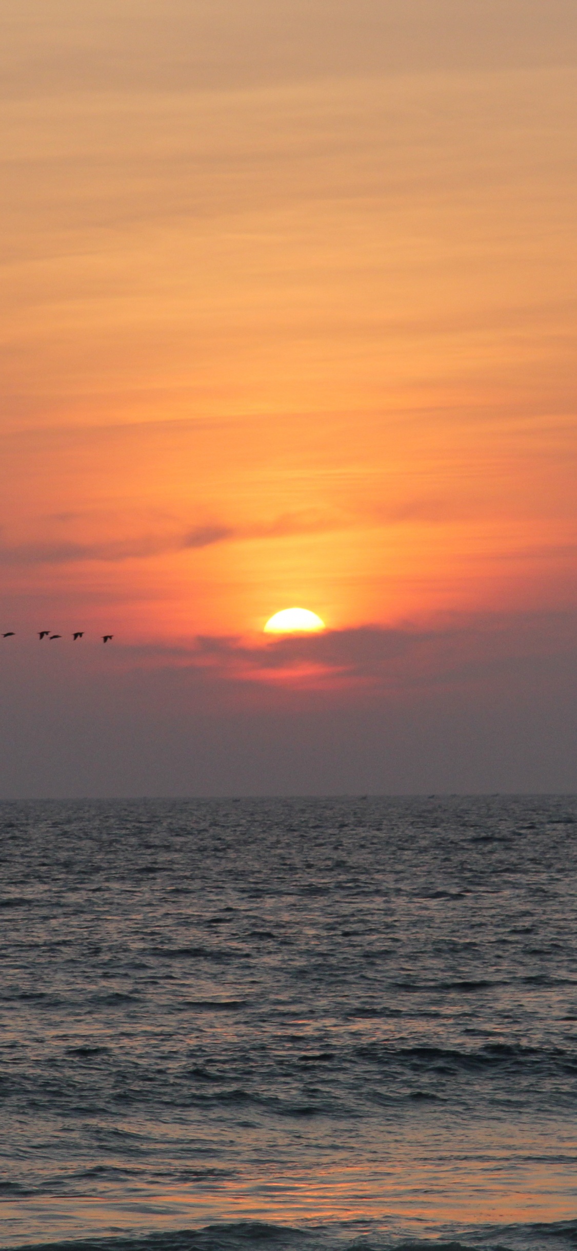 Gewässer Bei Sonnenuntergang. Wallpaper in 1125x2436 Resolution