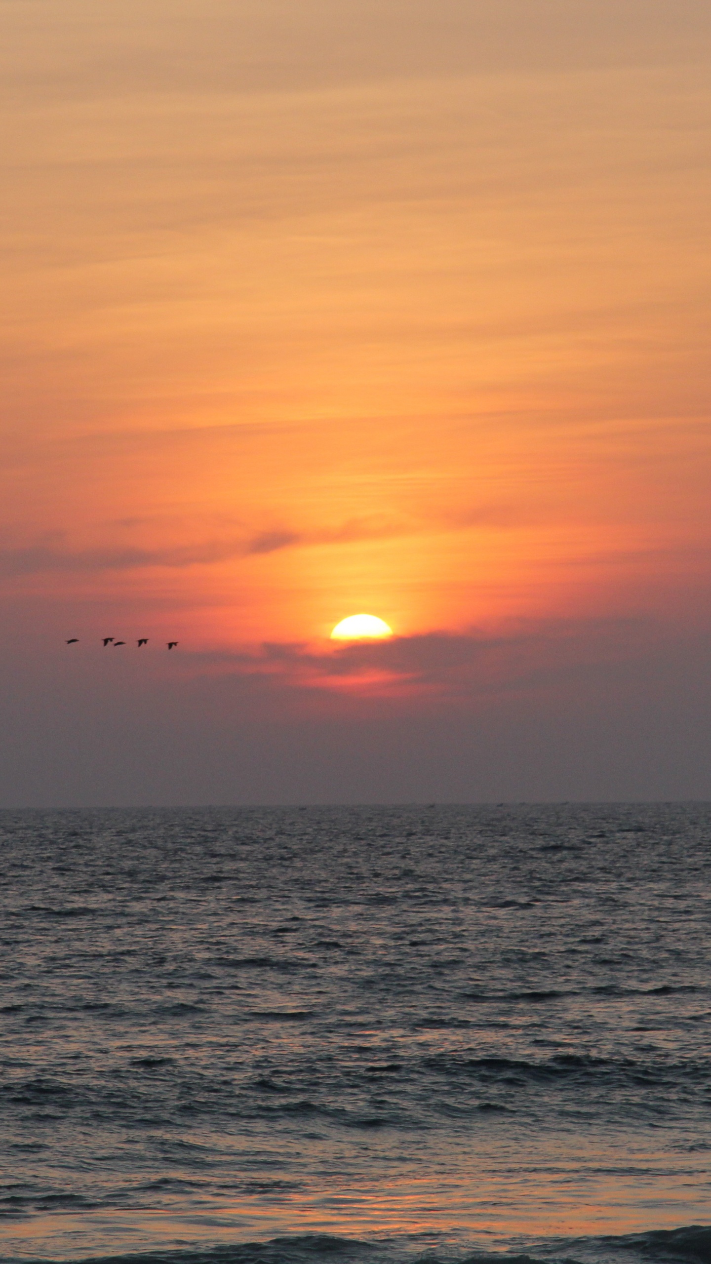 Gewässer Bei Sonnenuntergang. Wallpaper in 1440x2560 Resolution