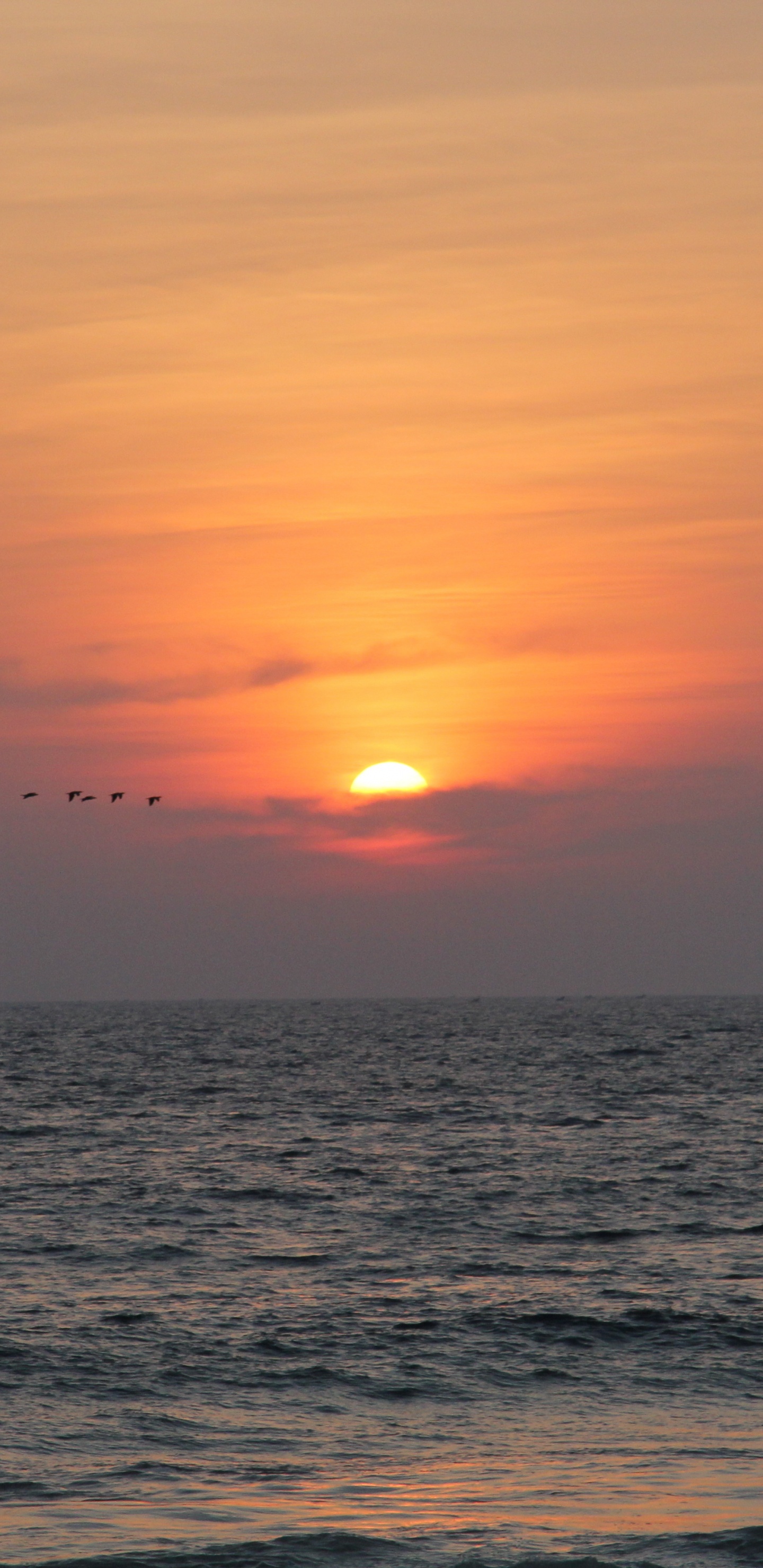 Gewässer Bei Sonnenuntergang. Wallpaper in 1440x2960 Resolution