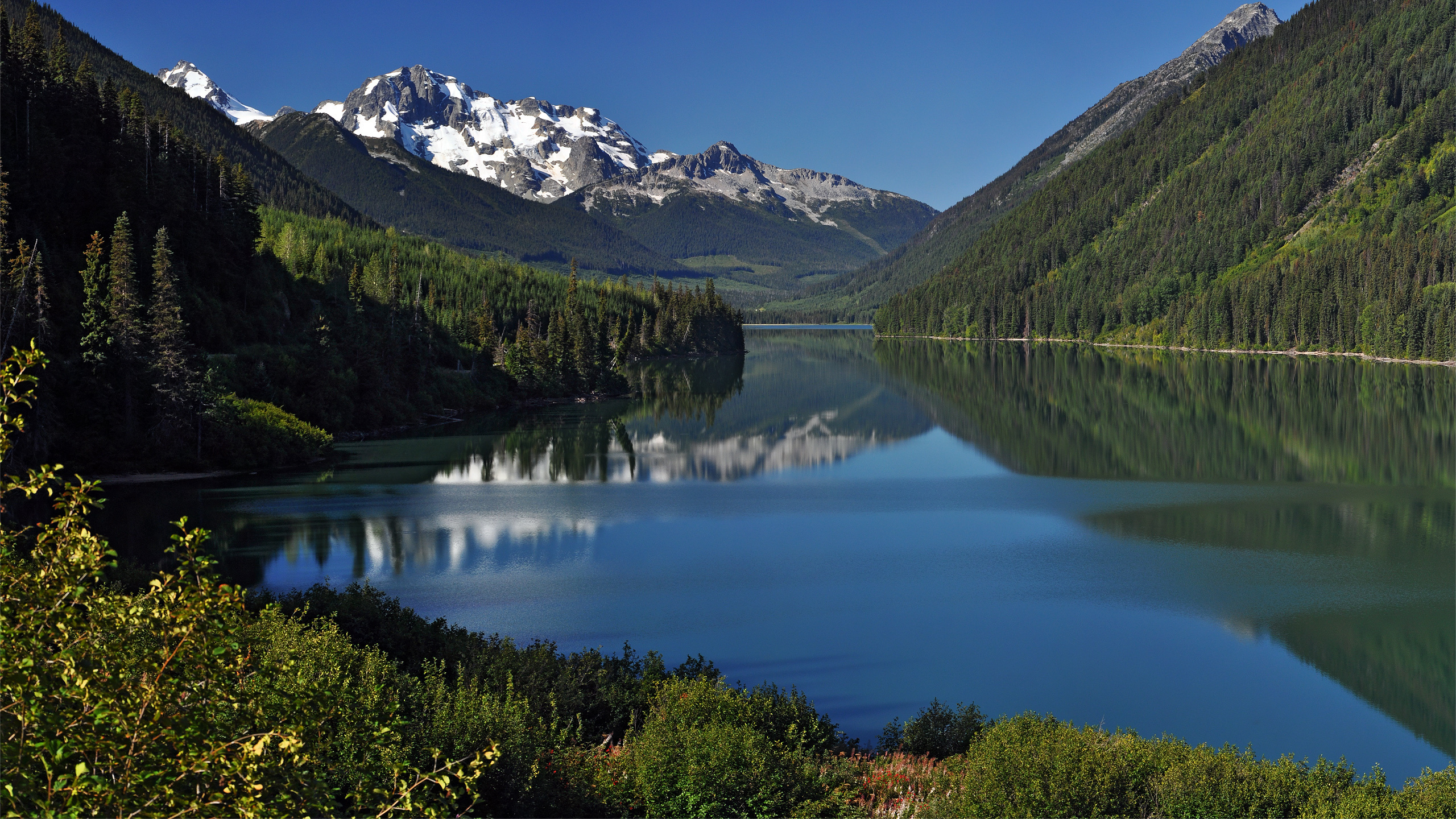 Lake Surrounded by Green Trees and Mountain Under Blue Sky During Daytime. Wallpaper in 2560x1440 Resolution