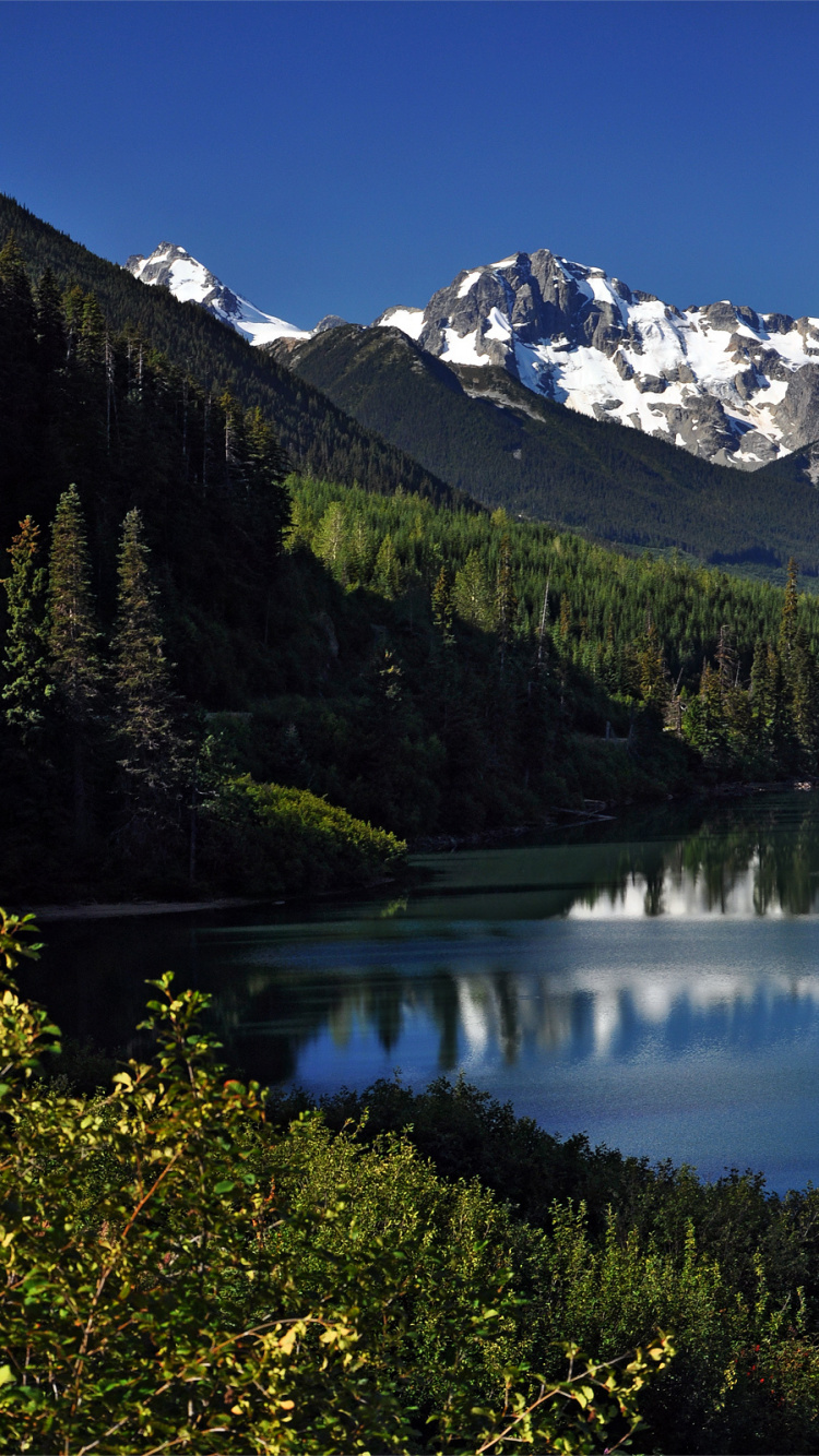 Lake Surrounded by Green Trees and Mountain Under Blue Sky During Daytime. Wallpaper in 750x1334 Resolution