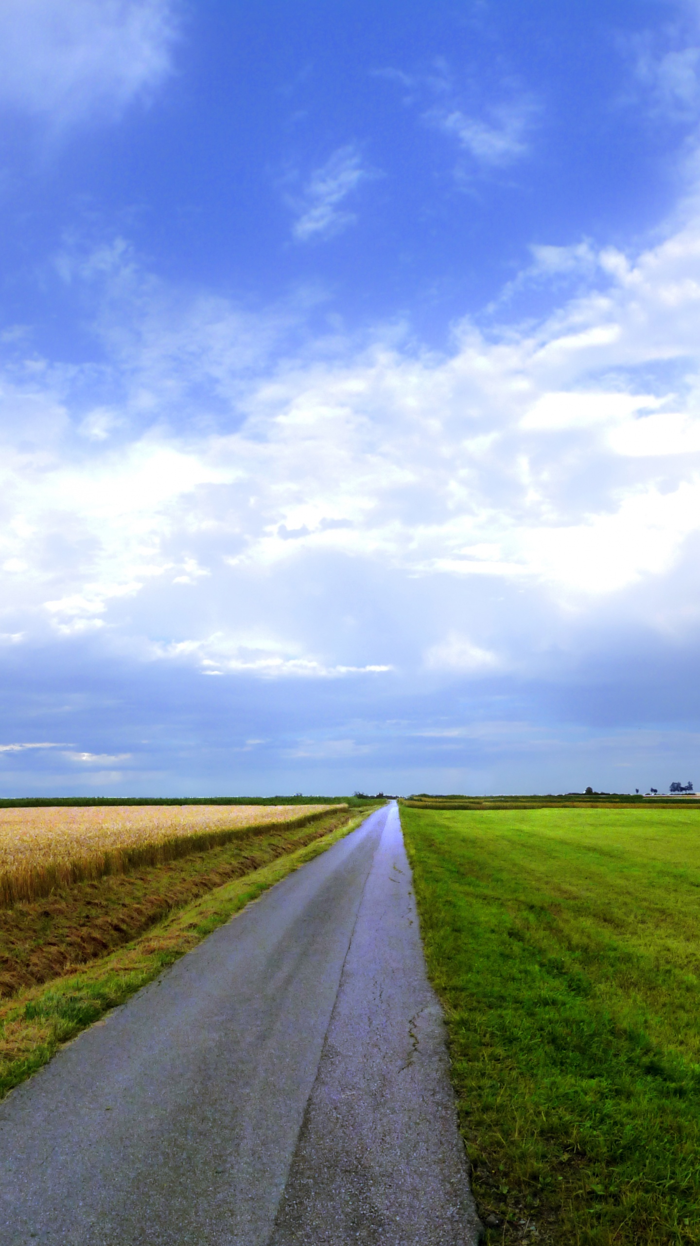 Braunes Holzhaus Auf Grüner Wiese Unter Weißen Wolken Und Blauem Himmel Tagsüber. Wallpaper in 1440x2560 Resolution