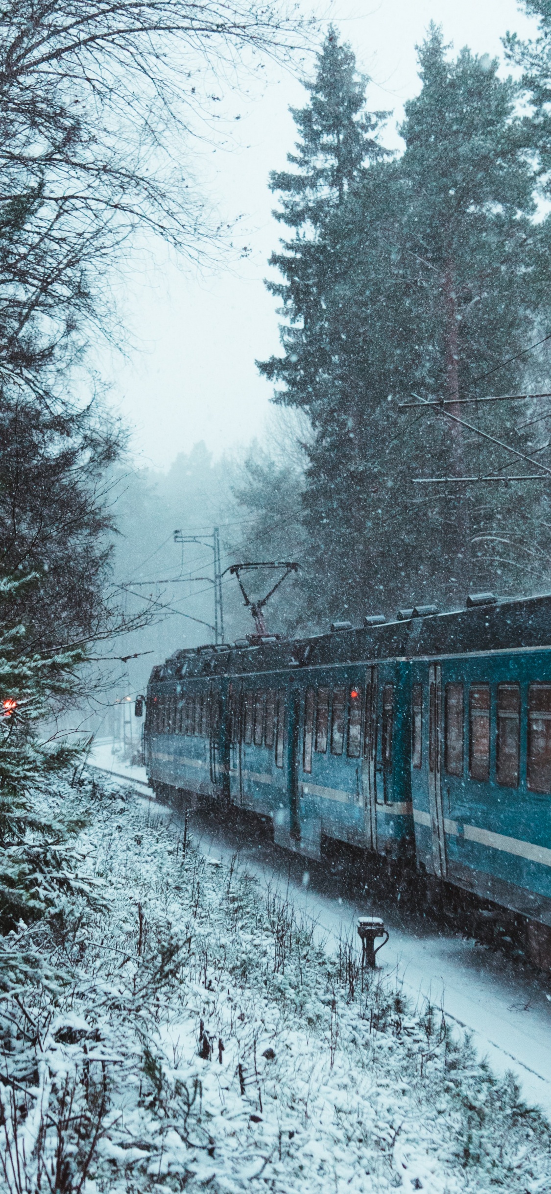 Train in Snow, Train, Rail Transport, Train Travel, Winter. Wallpaper in 1125x2436 Resolution