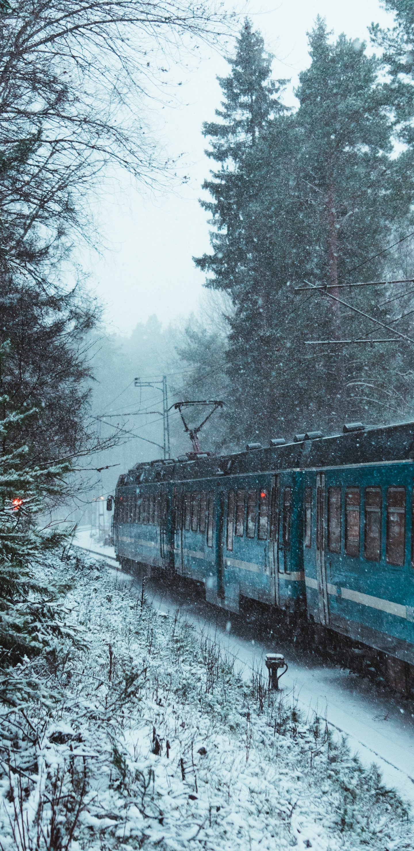 Tren en la Nieve, Tren, el Transporte Ferroviario, Viaje en Tren, Invierno. Wallpaper in 1440x2960 Resolution