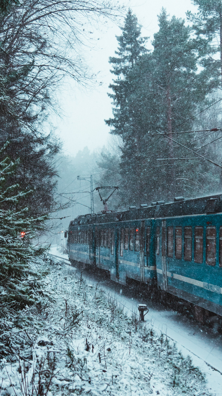 Tren en la Nieve, Tren, el Transporte Ferroviario, Viaje en Tren, Invierno. Wallpaper in 750x1334 Resolution