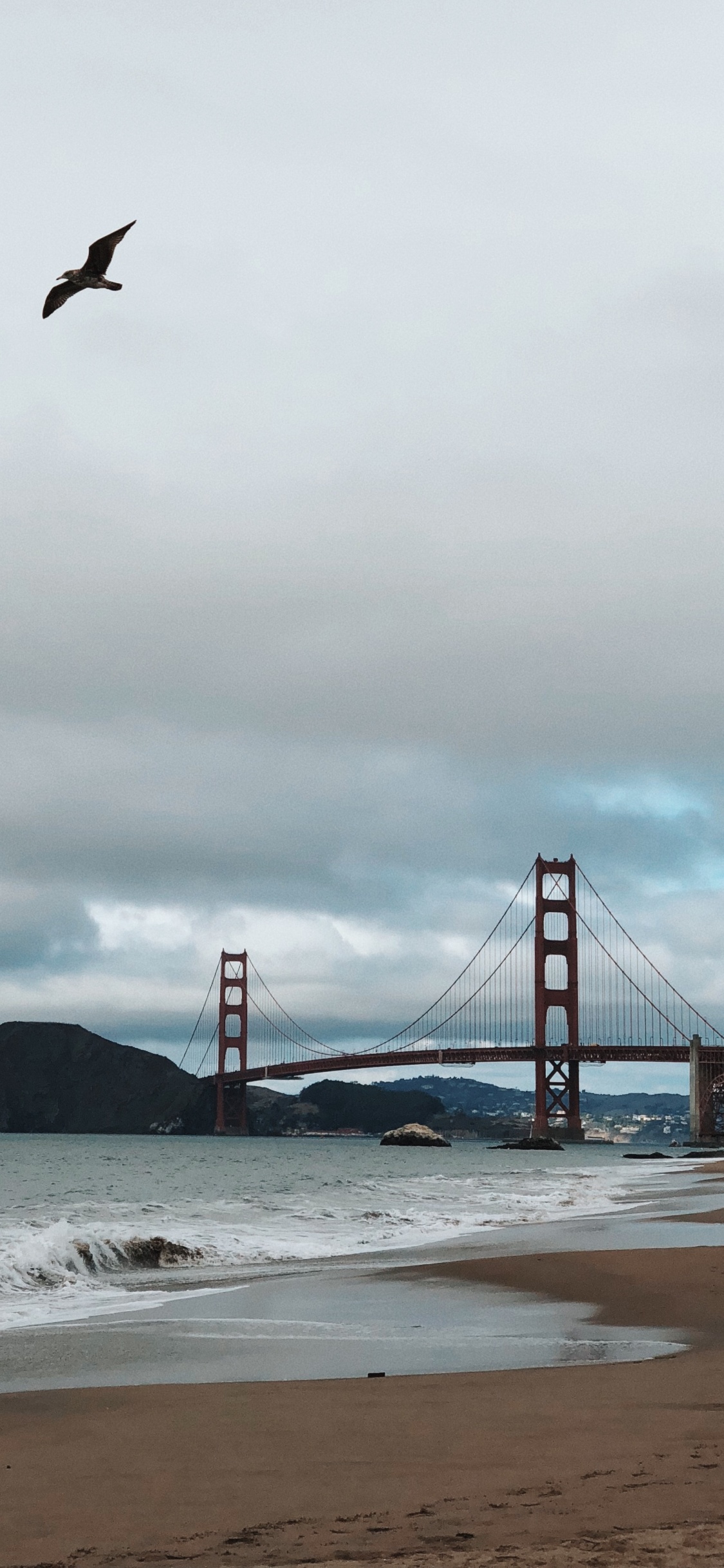 Golden Gate Bridge, Coast, Sea, Bridge, Beach. Wallpaper in 1125x2436 Resolution