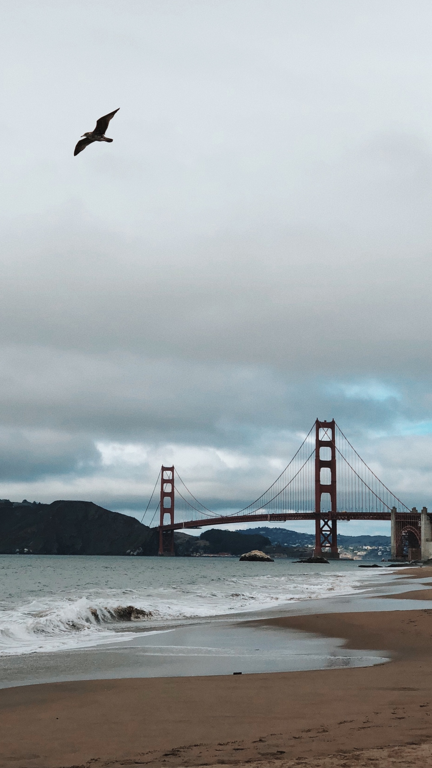 Golden Gate Bridge, Coast, Sea, Bridge, Beach. Wallpaper in 1440x2560 Resolution