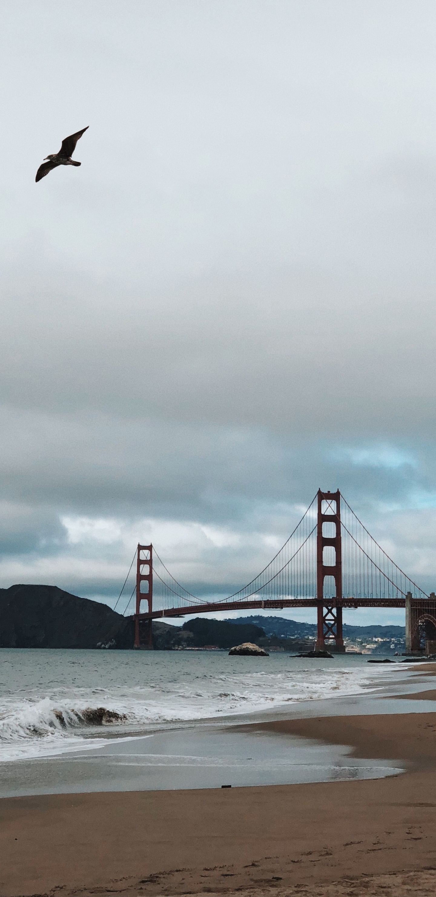 Golden Gate Bridge, Coast, Sea, Bridge, Beach. Wallpaper in 1440x2960 Resolution