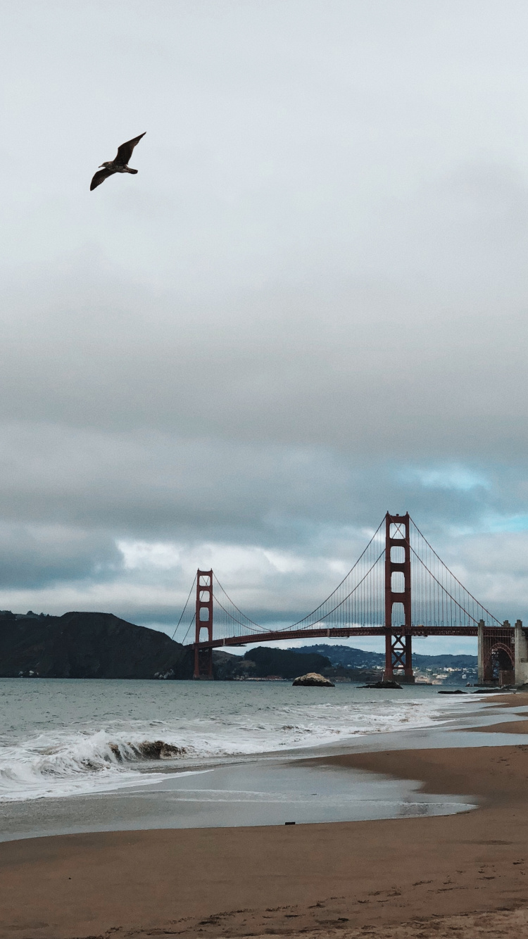 Golden Gate Bridge, Côte, Mer, Pont, Plage. Wallpaper in 750x1334 Resolution