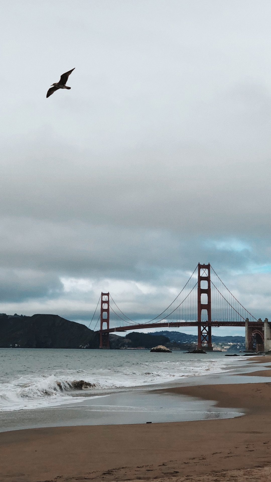 Puente Golden Gate, Costa, Mar, Puente, Playa. Wallpaper in 1080x1920 Resolution