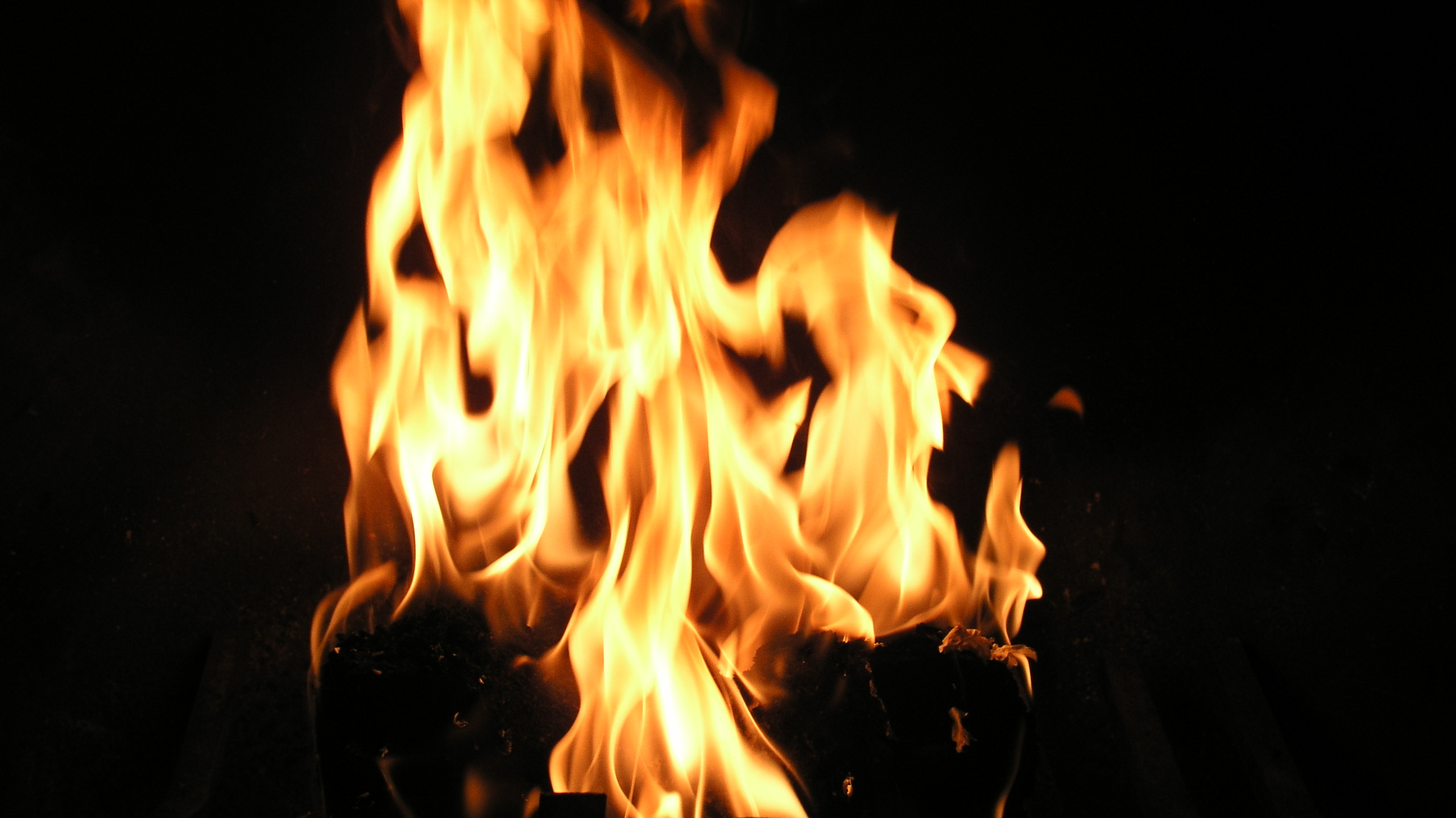 Feuer im Dunkeln Während Der Nacht. Wallpaper in 2560x1440 Resolution