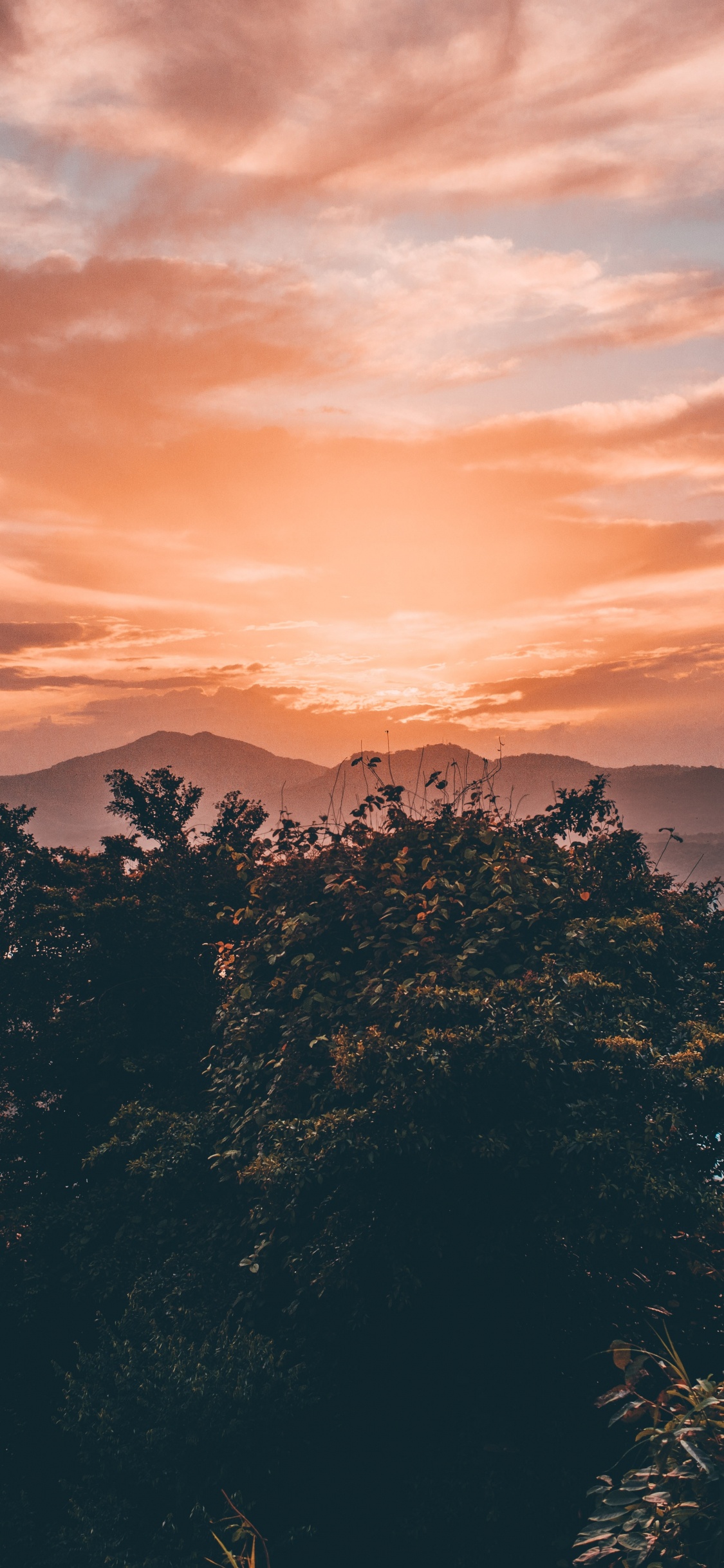 Golden Hour, Sunset, Cloud, Nature, Afterglow. Wallpaper in 1125x2436 Resolution