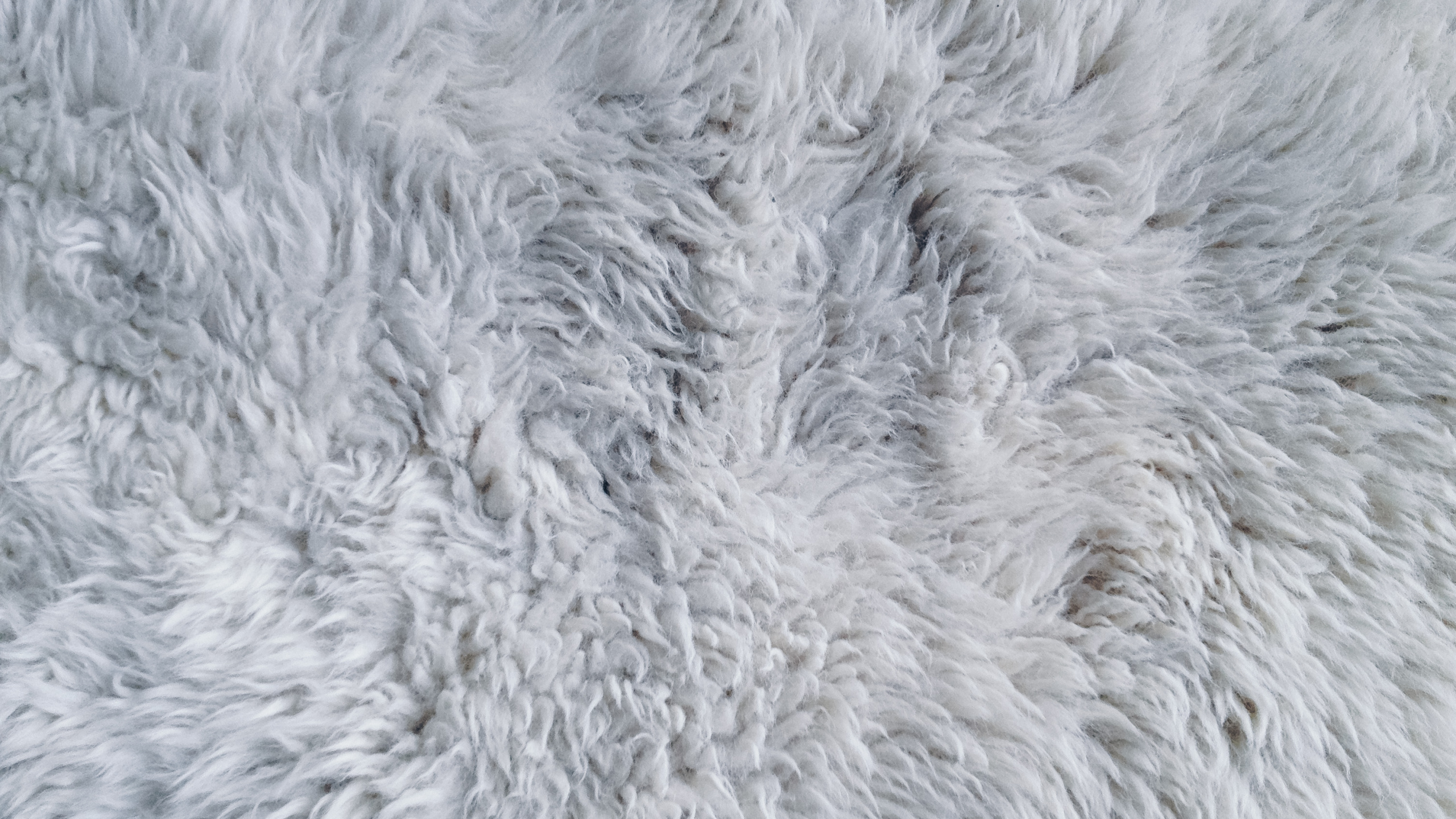 White Fur Textile in Close up Photography. Wallpaper in 2560x1440 Resolution