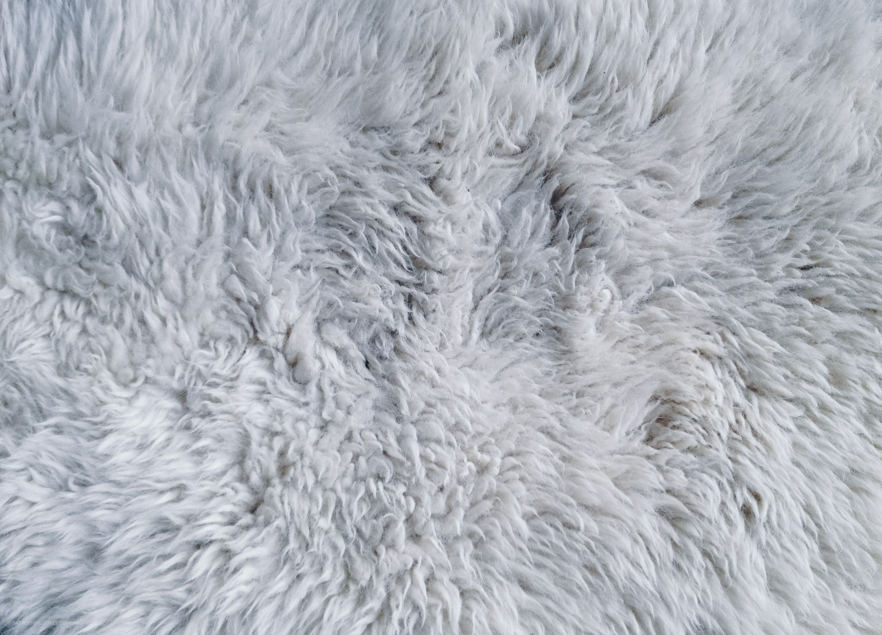 Wallpaper White Fur Textile in Close up Photography, Background - Download  Free Image