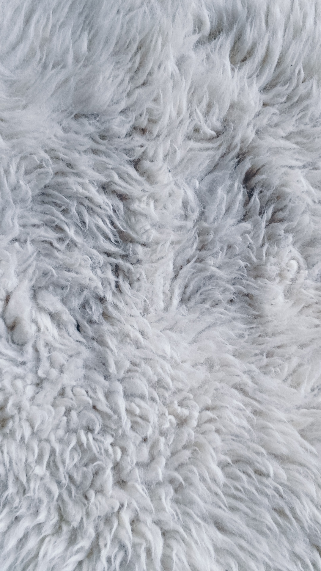 Textile de Fourrure Blanche en Photographie Rapprochée. Wallpaper in 1080x1920 Resolution
