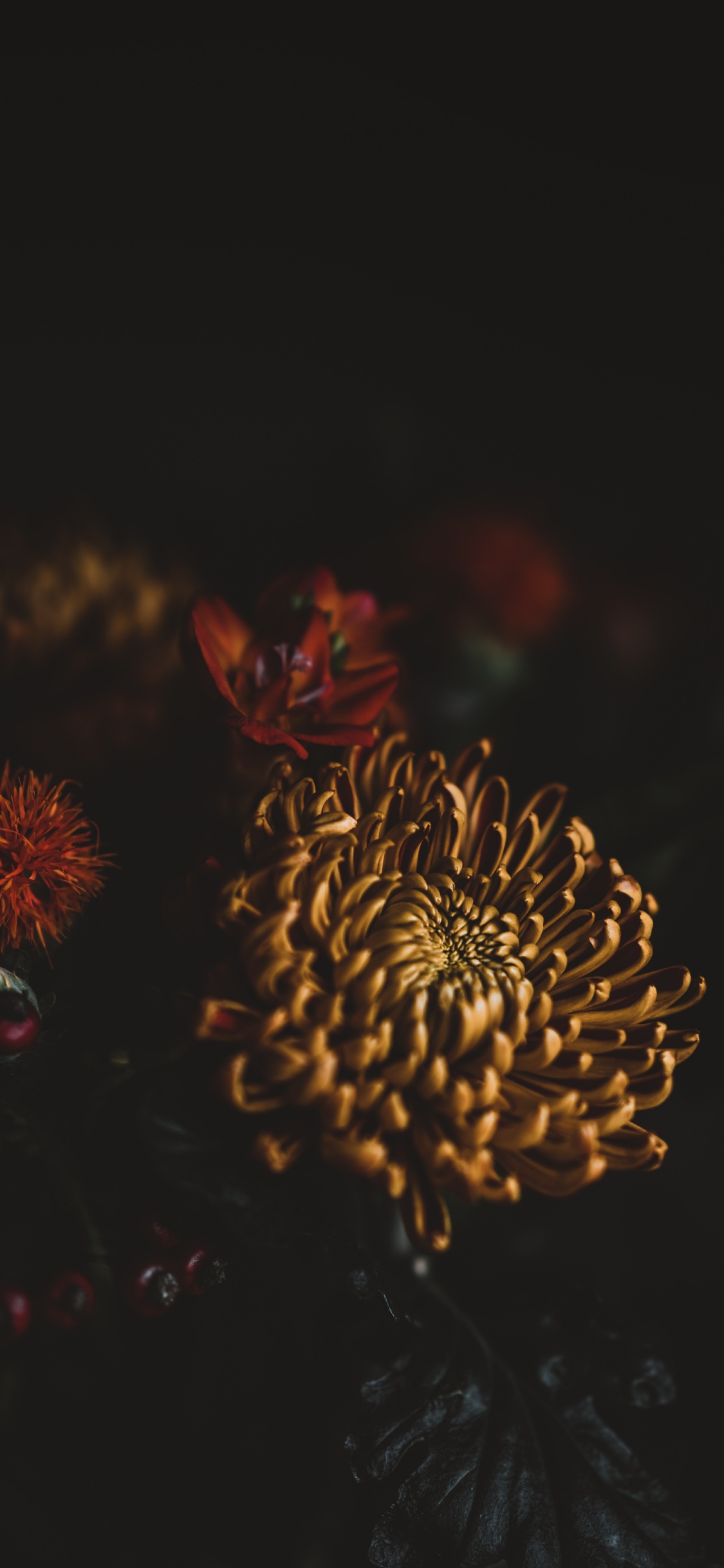 Flor Marrón y Roja en Fotografía de Cerca. Wallpaper in 1125x2436 Resolution