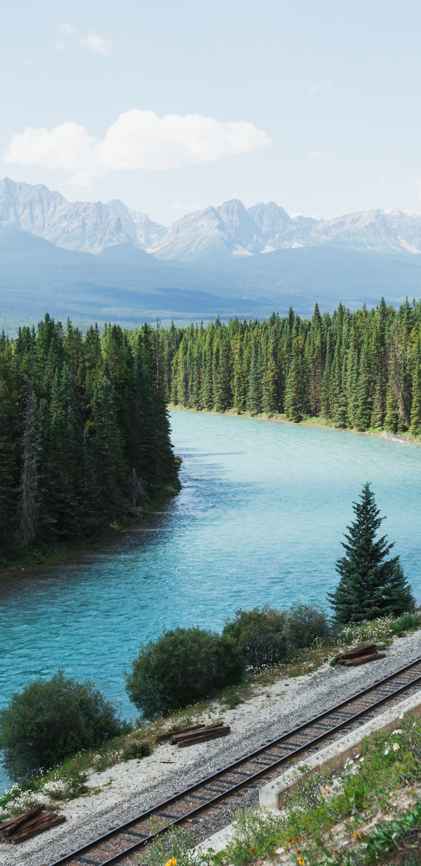 Lake Louise, Bear Street, Water, Cloud, Plant. Wallpaper in 1440x2960 Resolution