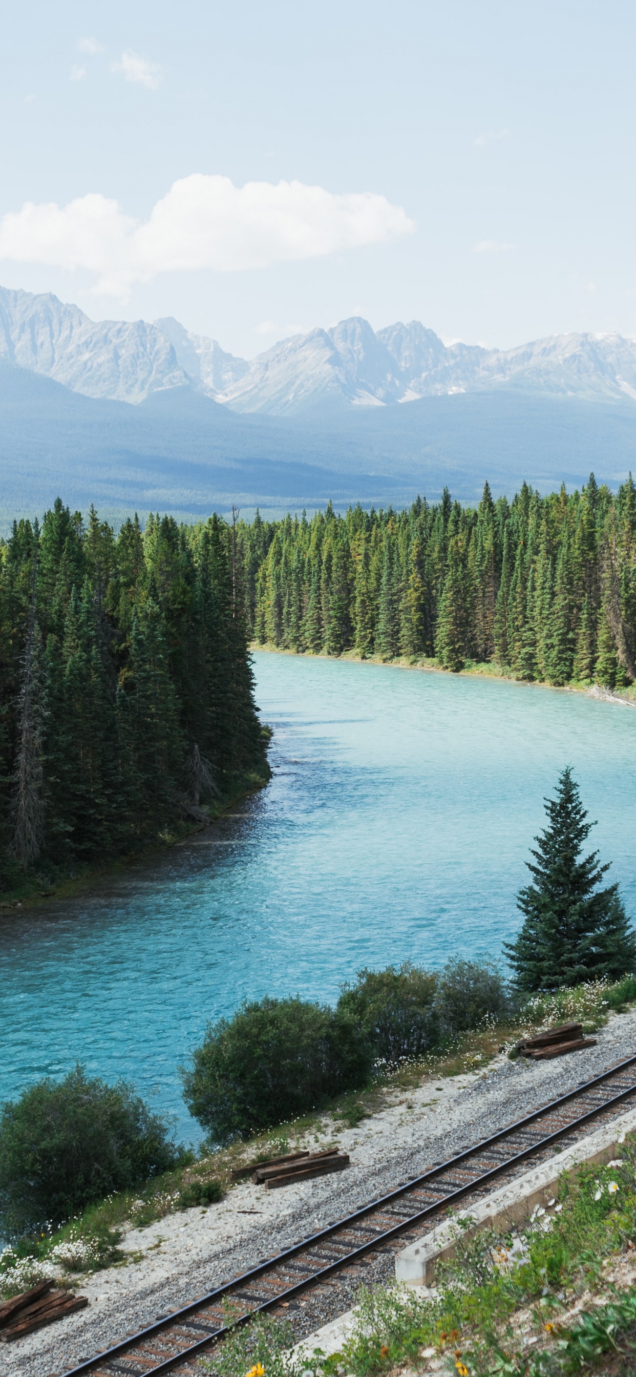 Lake Louise, Calle Del Oso, Agua, Los Recursos de Agua, Montaña. Wallpaper in 1242x2688 Resolution