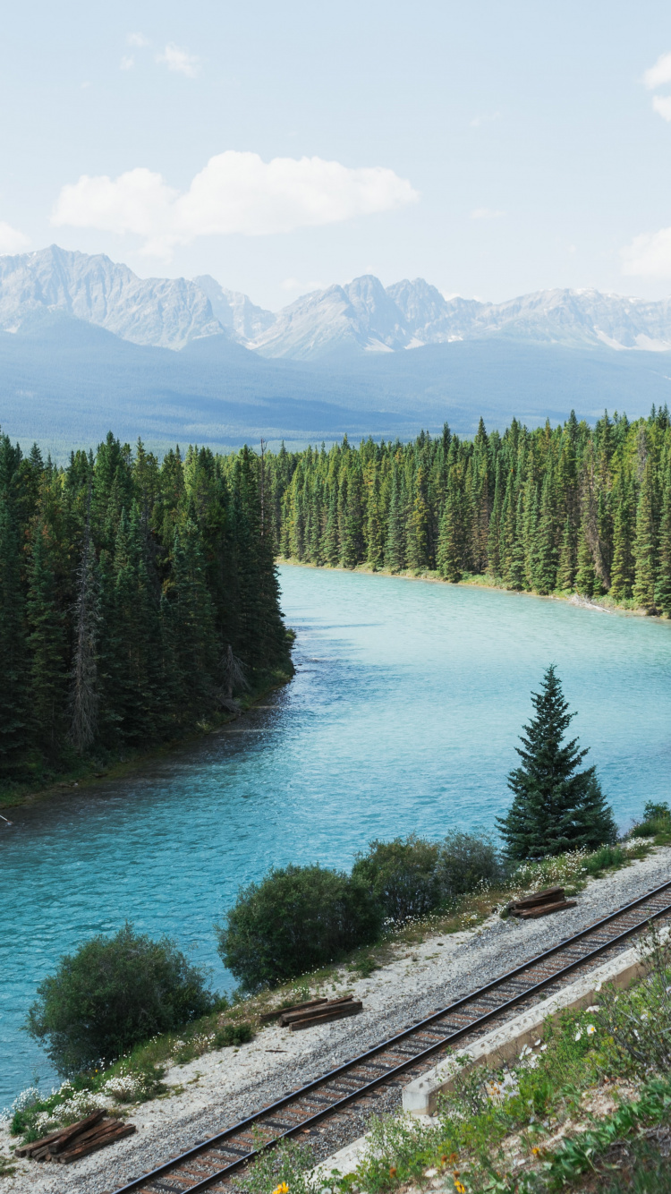 Lake Louise, Calle Del Oso, Agua, Los Recursos de Agua, Montaña. Wallpaper in 750x1334 Resolution