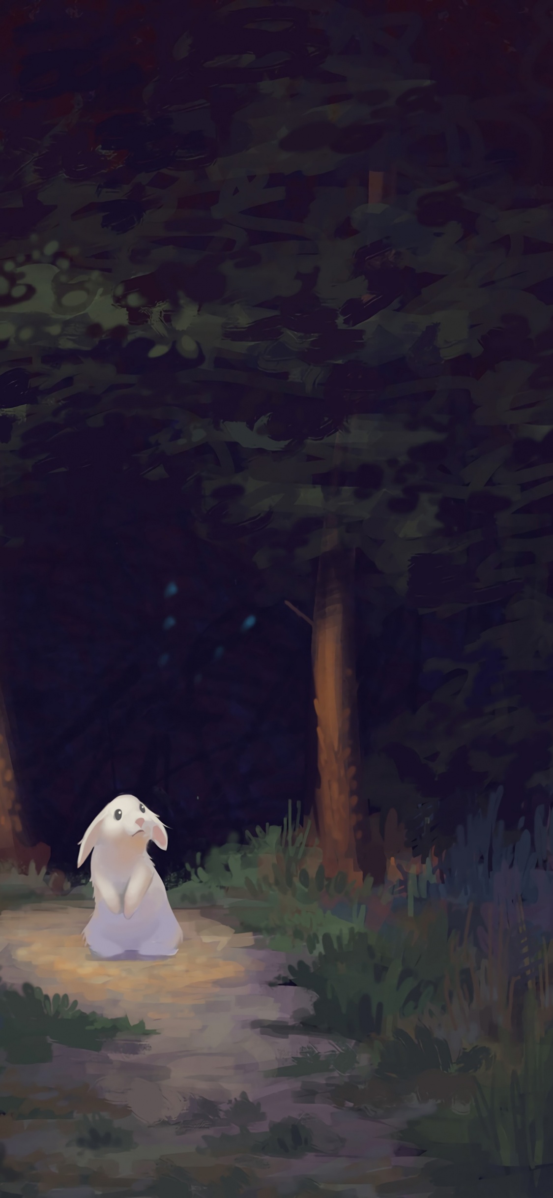 Obscurité, Atmosphère, Arts Visuels, Nuit, Forêt. Wallpaper in 1125x2436 Resolution