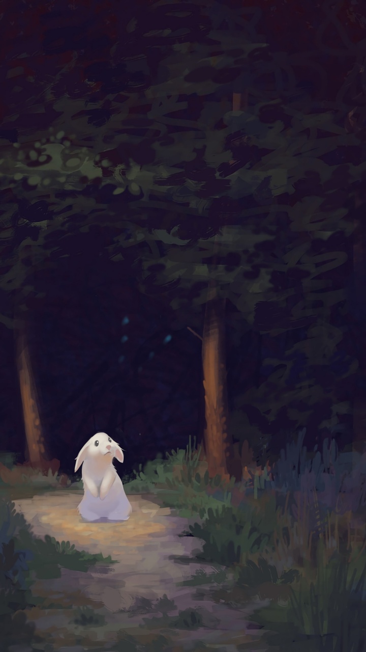 Obscurité, Atmosphère, Arts Visuels, Nuit, Forêt. Wallpaper in 720x1280 Resolution