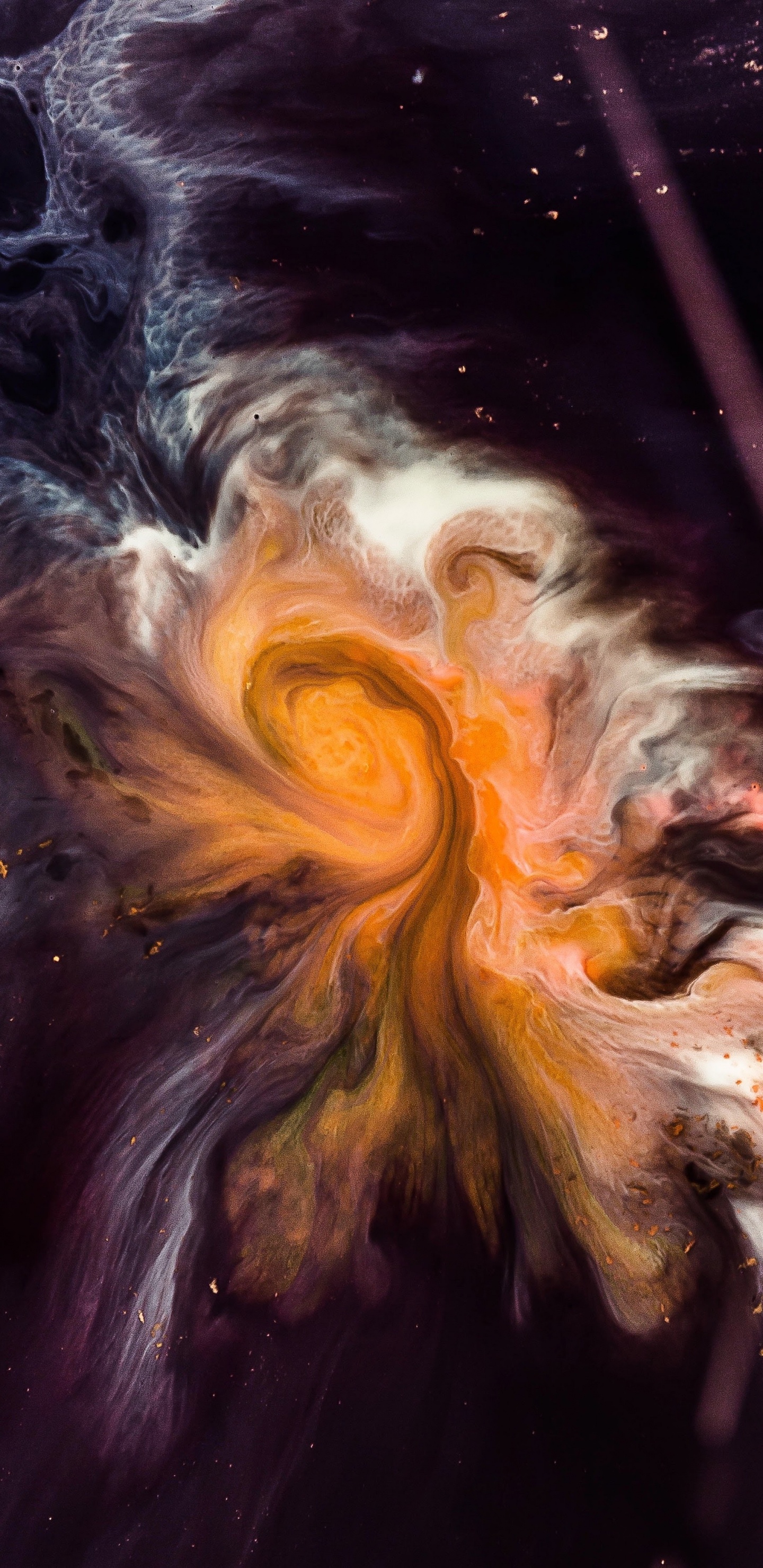 Apple, IPhone, IPhone X, Apples, IOS 11. Wallpaper in 1440x2960 Resolution