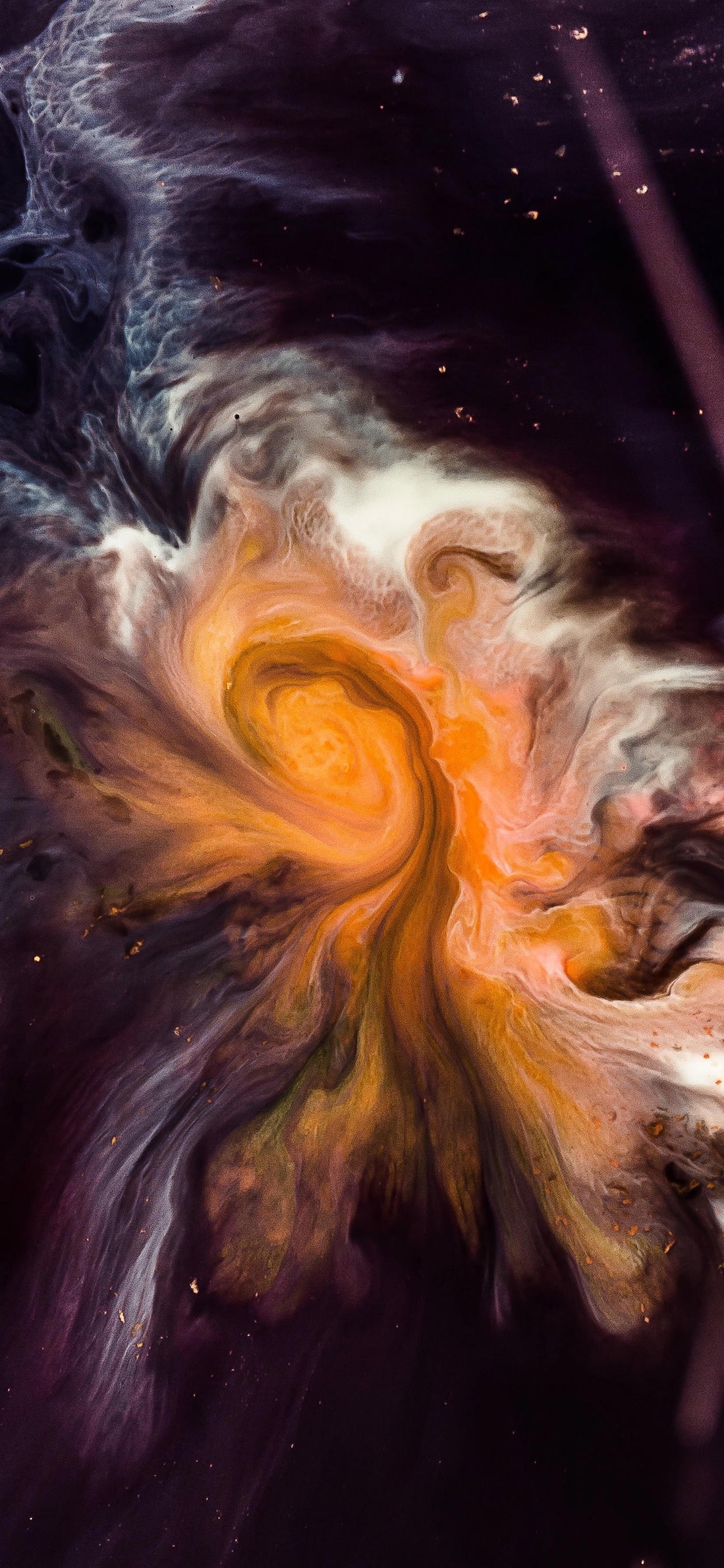 IPhone, IPhone X, Apple, IOS 11, IOS. Wallpaper in 1242x2688 Resolution