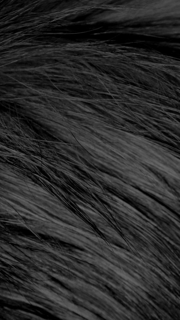 Schwarzes Und Weißes Menschliches Haar. Wallpaper in 750x1334 Resolution
