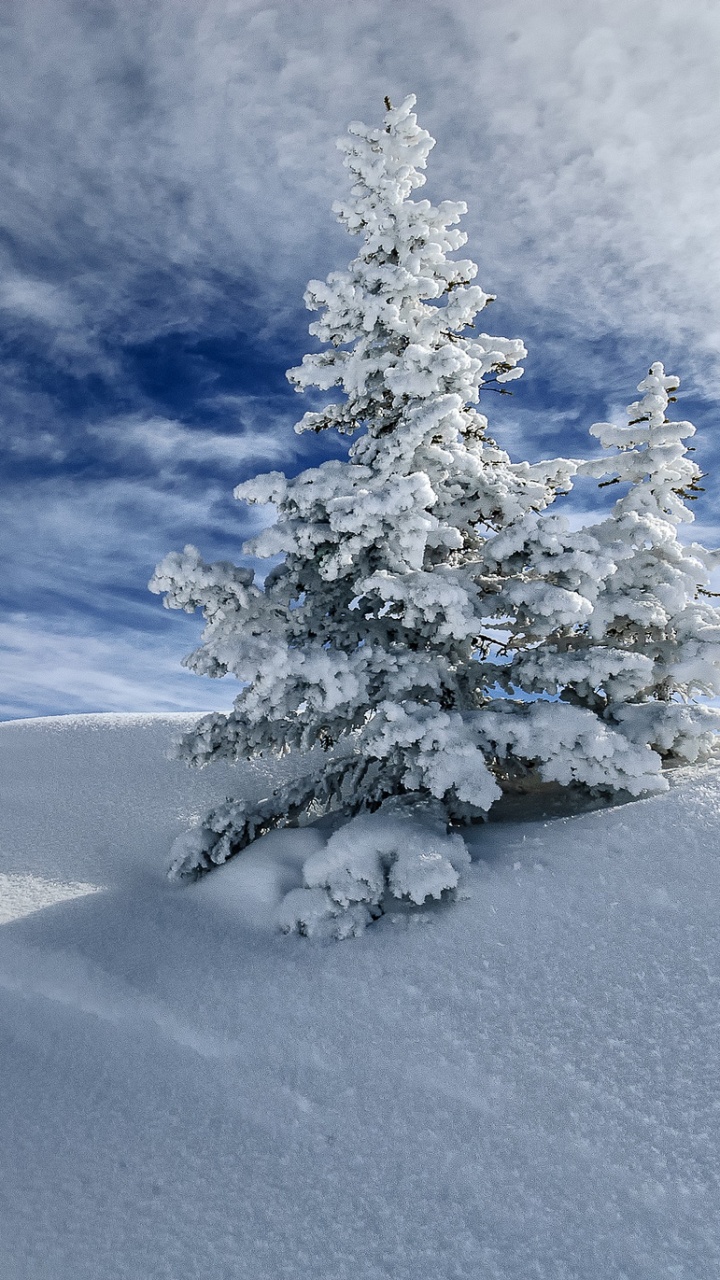 Arbre Couvert de Neige Sur le Champ Couvert de Neige Sous Ciel Bleu et Nuages Blancs Pendant la Journée. Wallpaper in 720x1280 Resolution