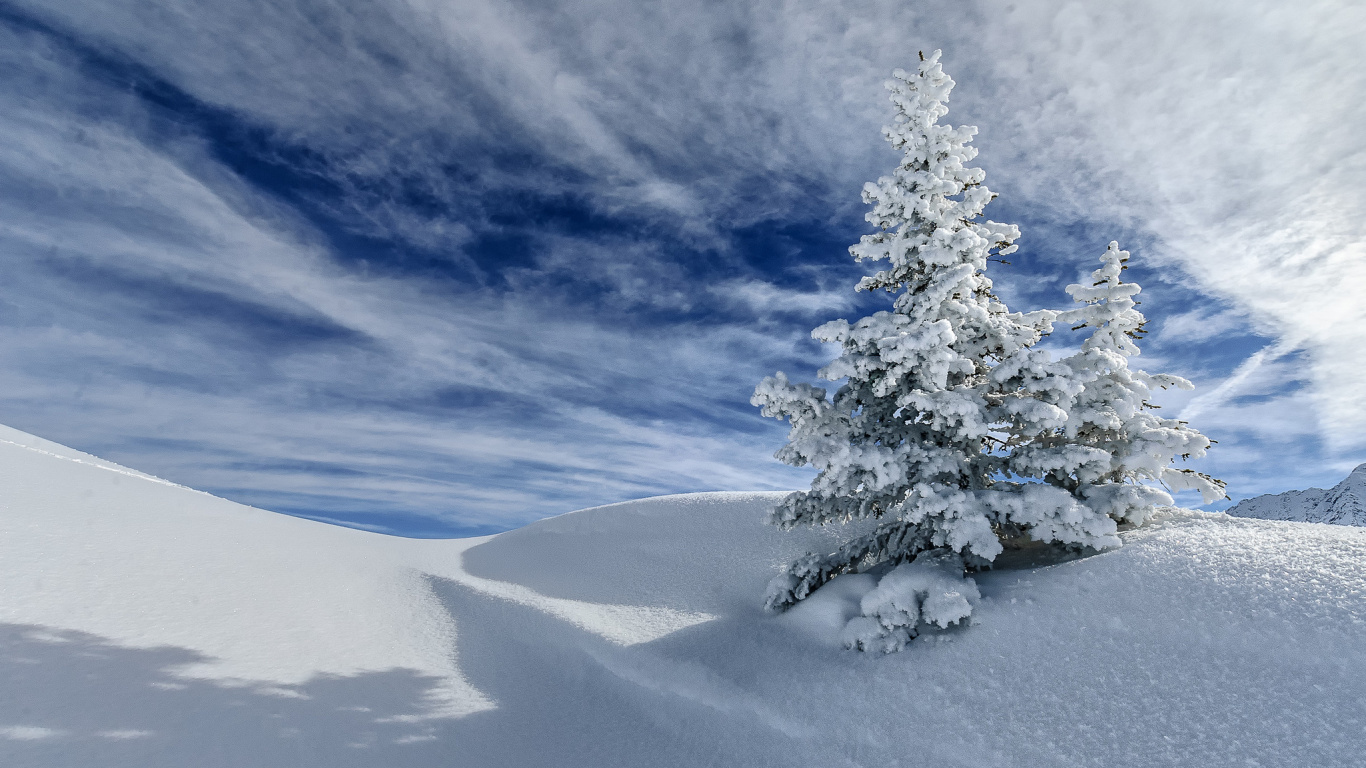 Árbol Cubierto de Nieve en el Campo Cubierto de Nieve Bajo un Cielo Azul y Nubes Blancas Durante el Día. Wallpaper in 1366x768 Resolution