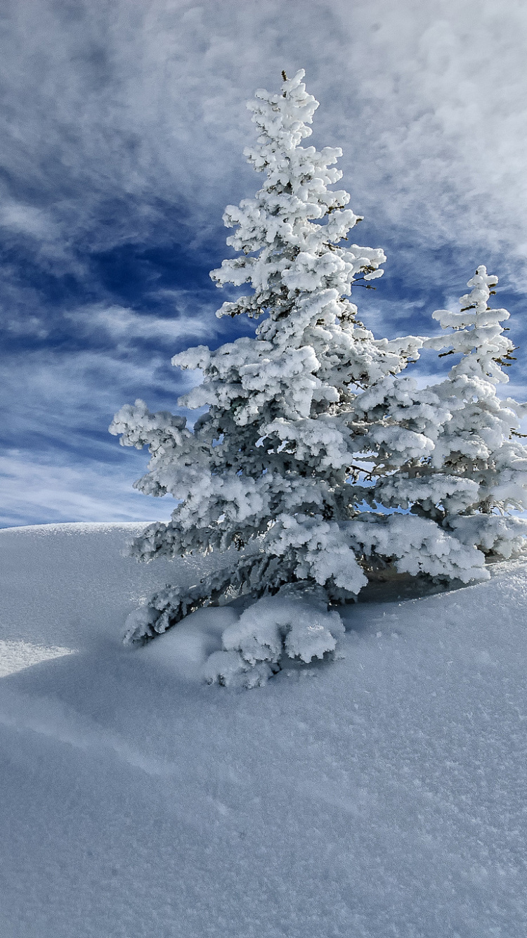 Árbol Cubierto de Nieve en el Campo Cubierto de Nieve Bajo un Cielo Azul y Nubes Blancas Durante el Día. Wallpaper in 750x1334 Resolution