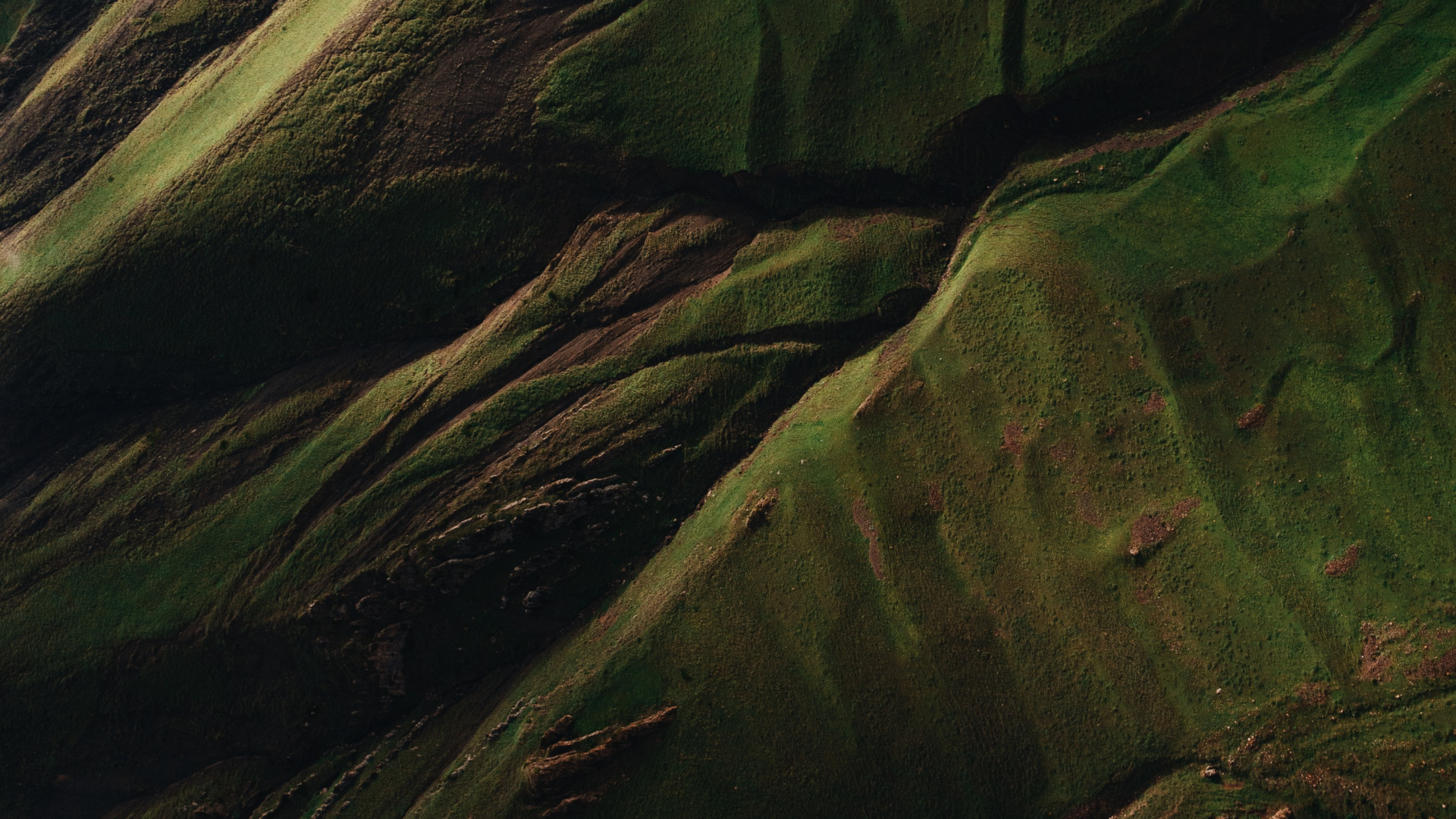 Eau, Brown, Plante Terrestre, Aile, Prairie. Wallpaper in 1920x1080 Resolution