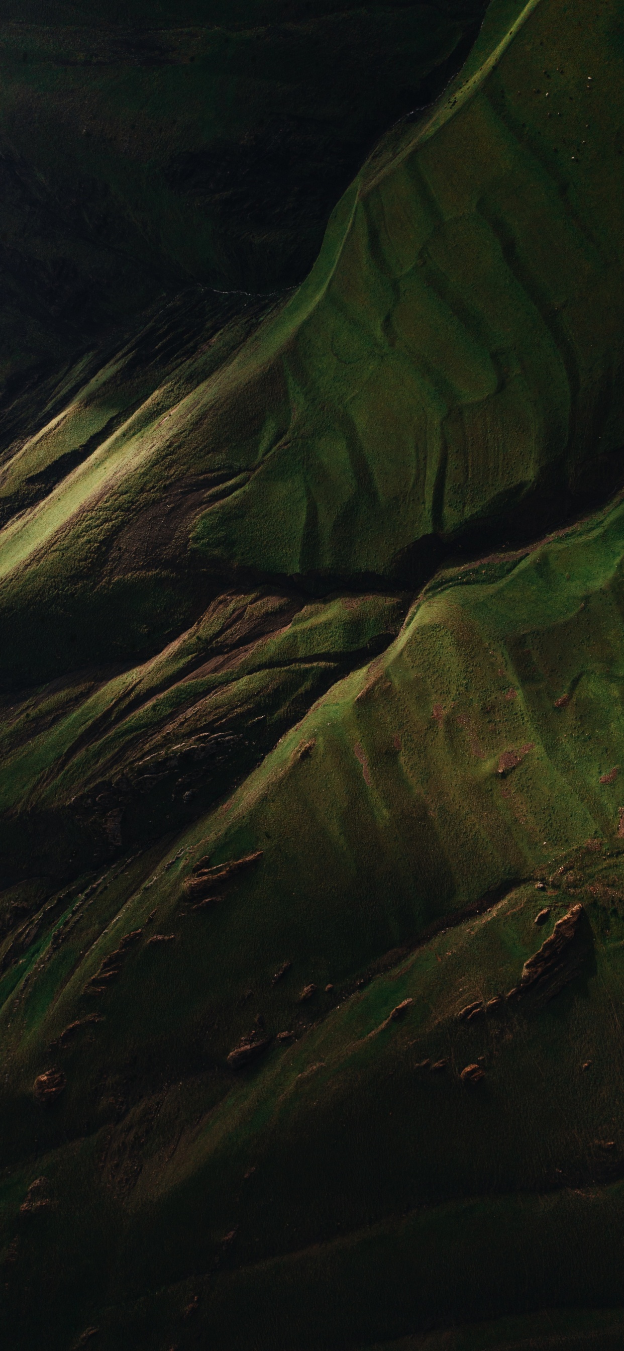 Wasser, Holz, Brown, Terrestrische Pflanzen, Gras. Wallpaper in 1242x2688 Resolution