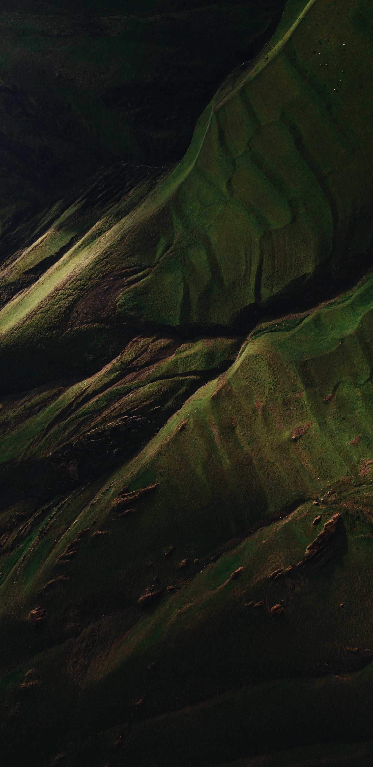 Water, Wood, Brown, Terrestrial Plant, Grass. Wallpaper in 1440x2960 Resolution